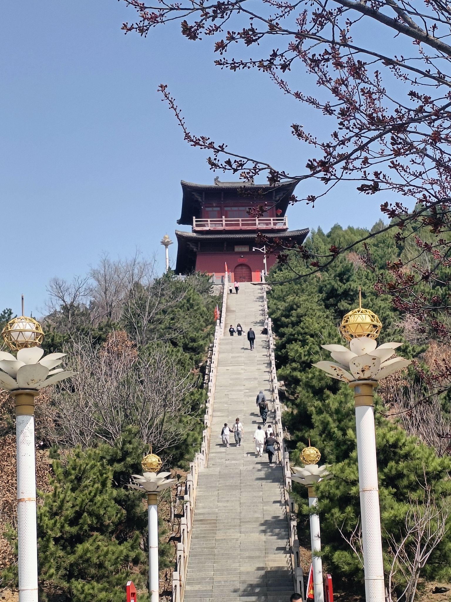 白马寺山森林公园