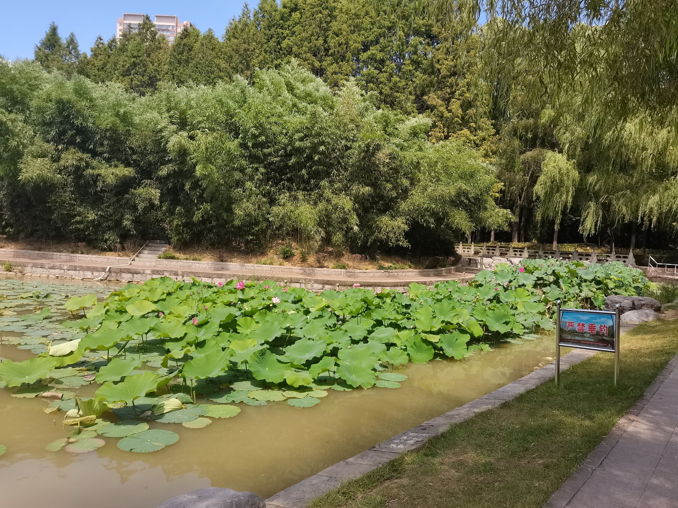 玉龙潭公园旅行图片 1