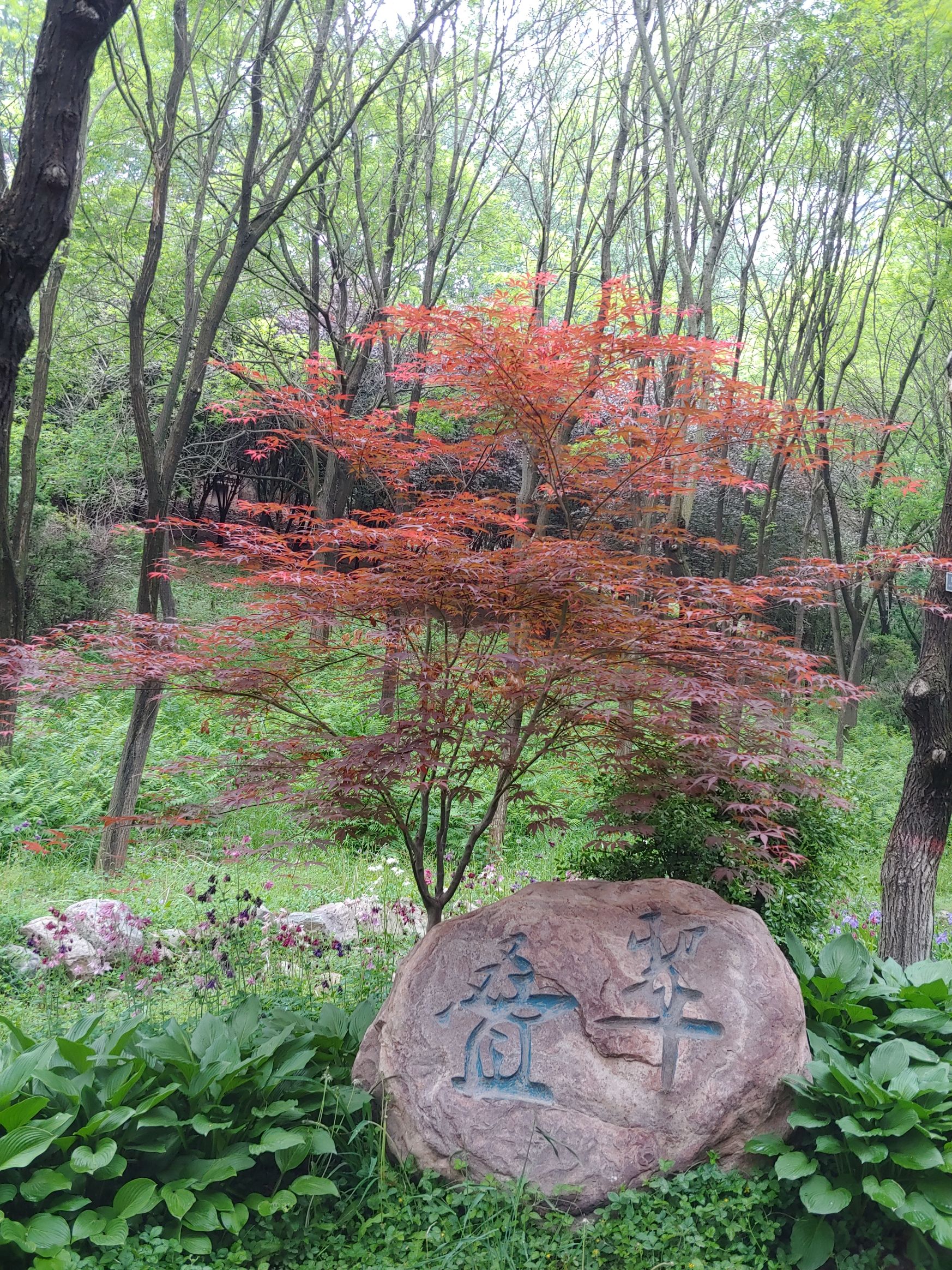 玉龙潭公园