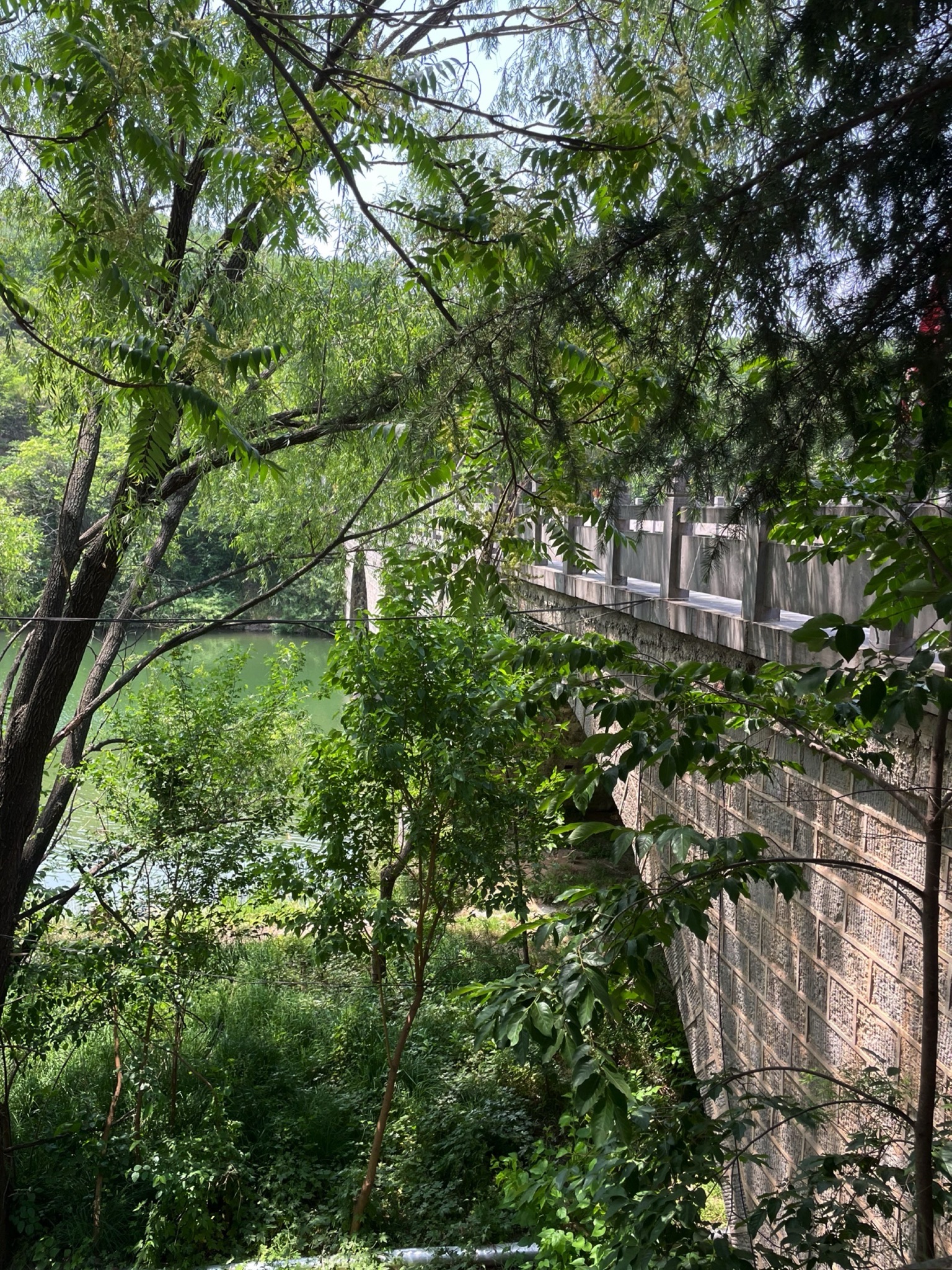 珏山青莲寺景区旅行图片 2