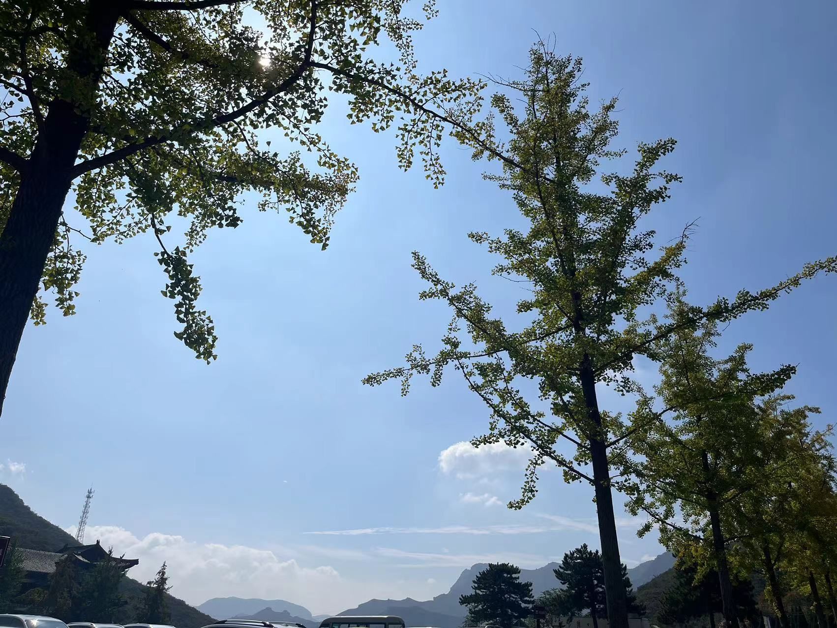 珏山青莲寺景区旅行图片 1