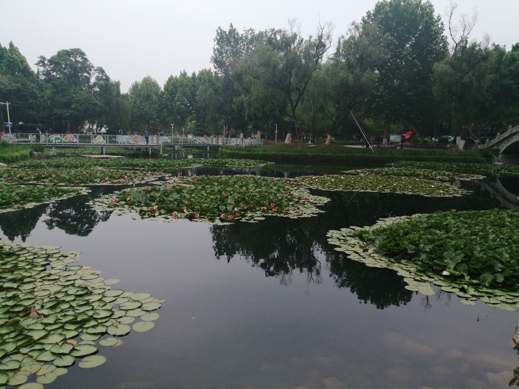 儿童公园旅行图片 2