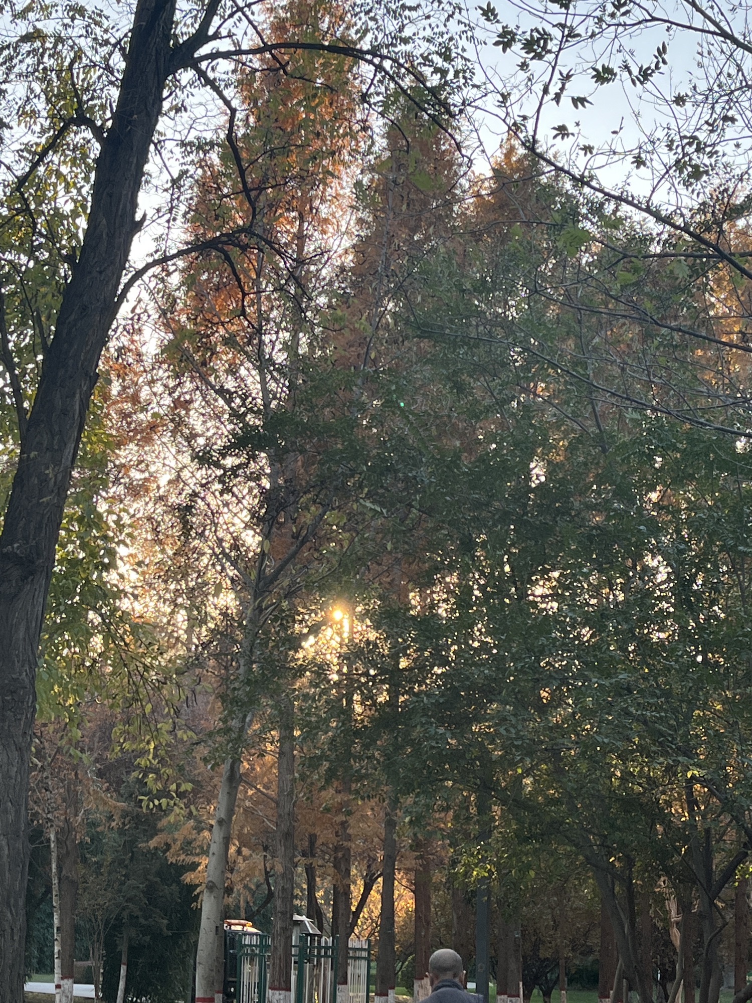 儿童公园旅行图片 3