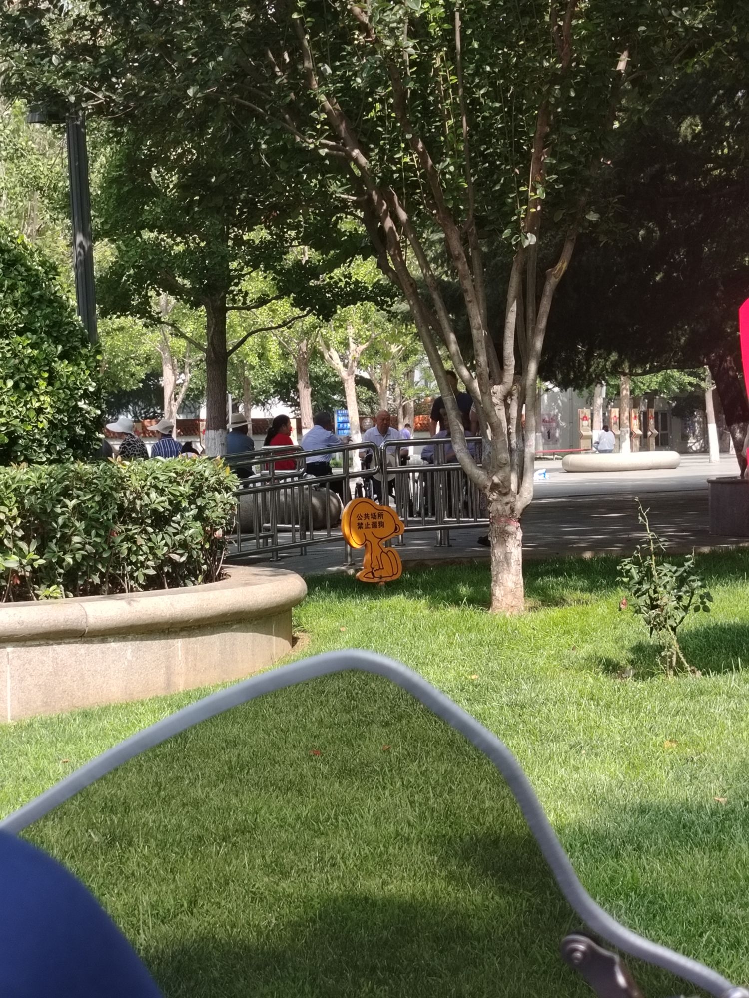 儿童公园旅行图片 3