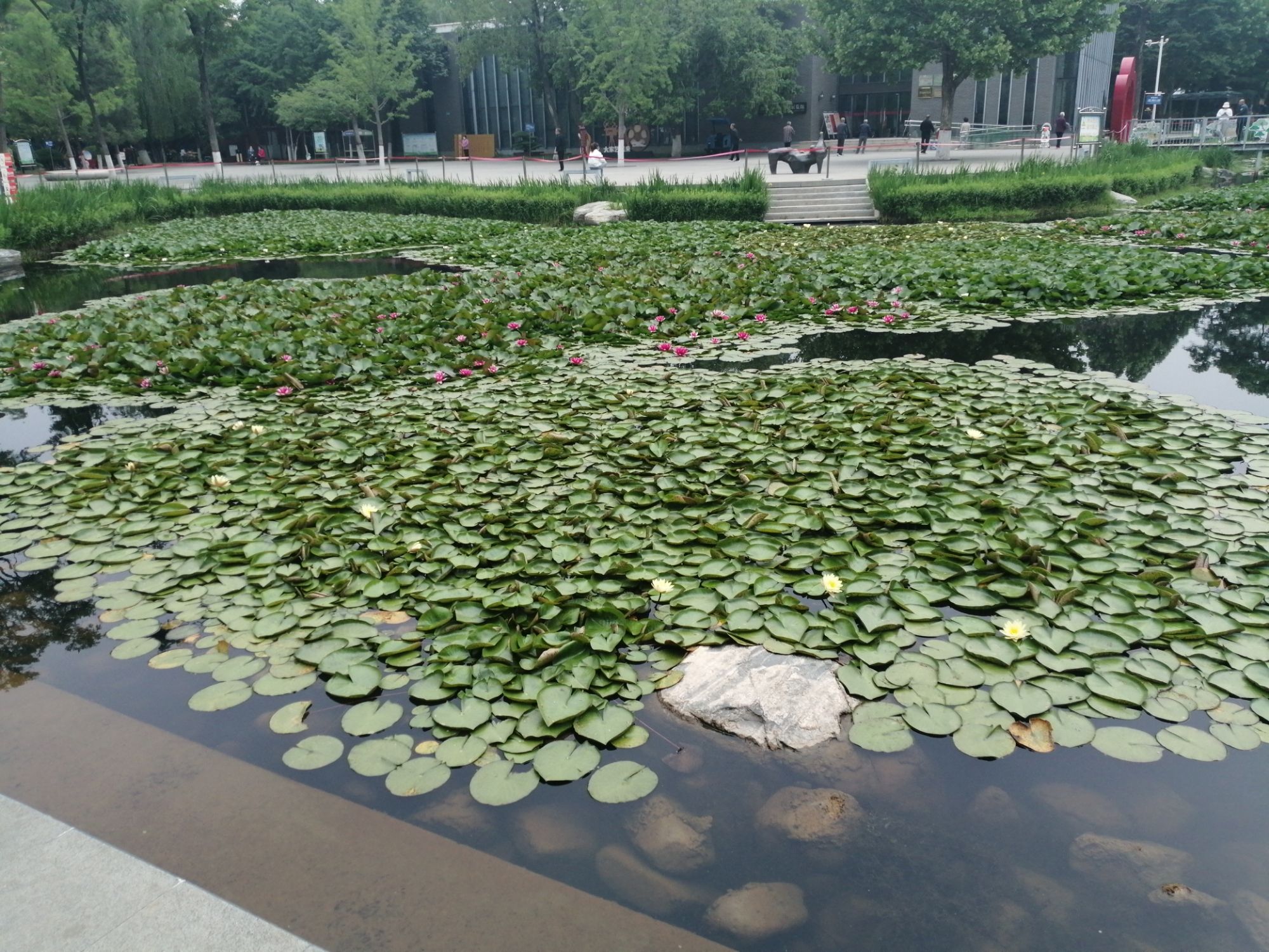 儿童公园旅行图片 1
