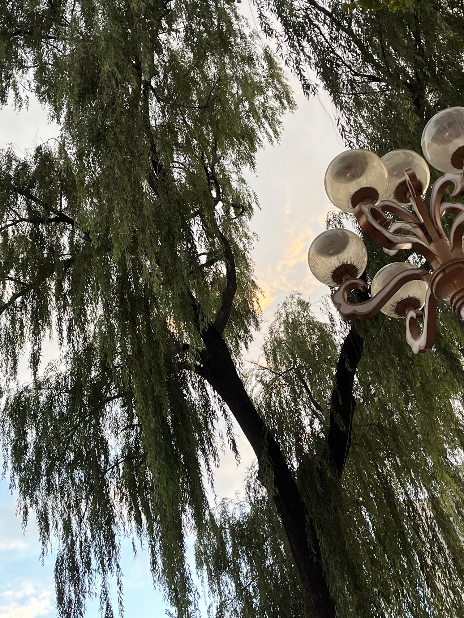 树理文化广场旅行图片 2