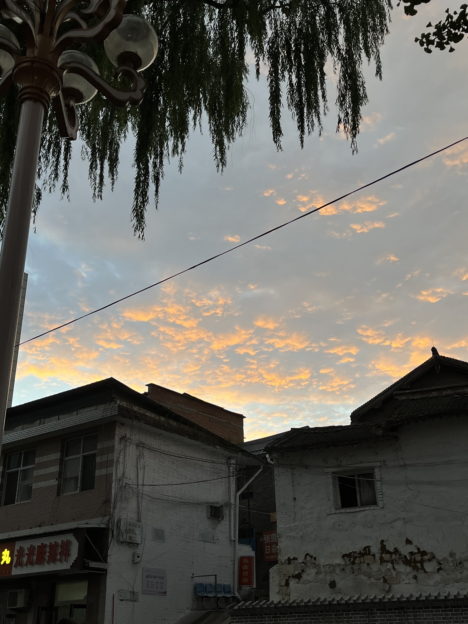 树理文化广场旅行图片 1