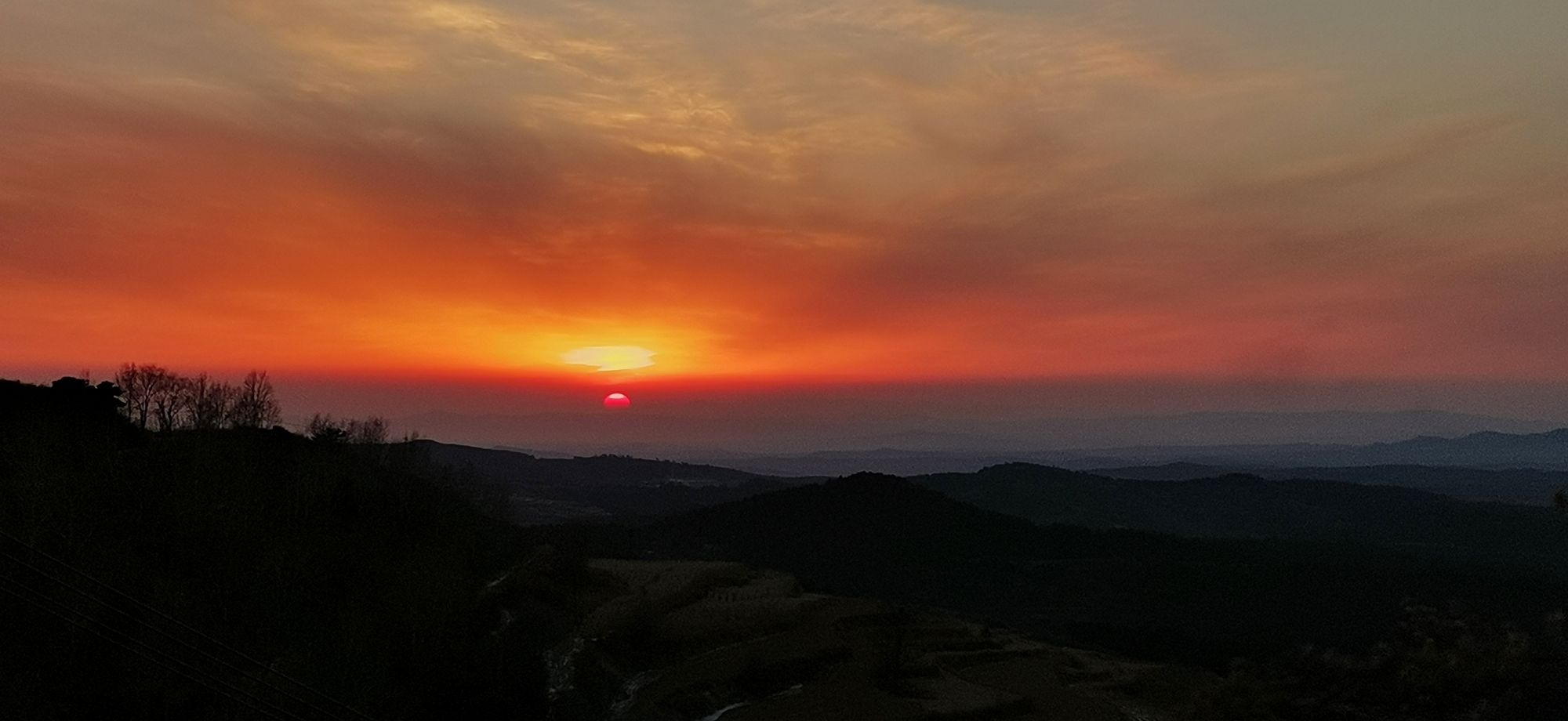 东坡头森林公园旅行图片 3