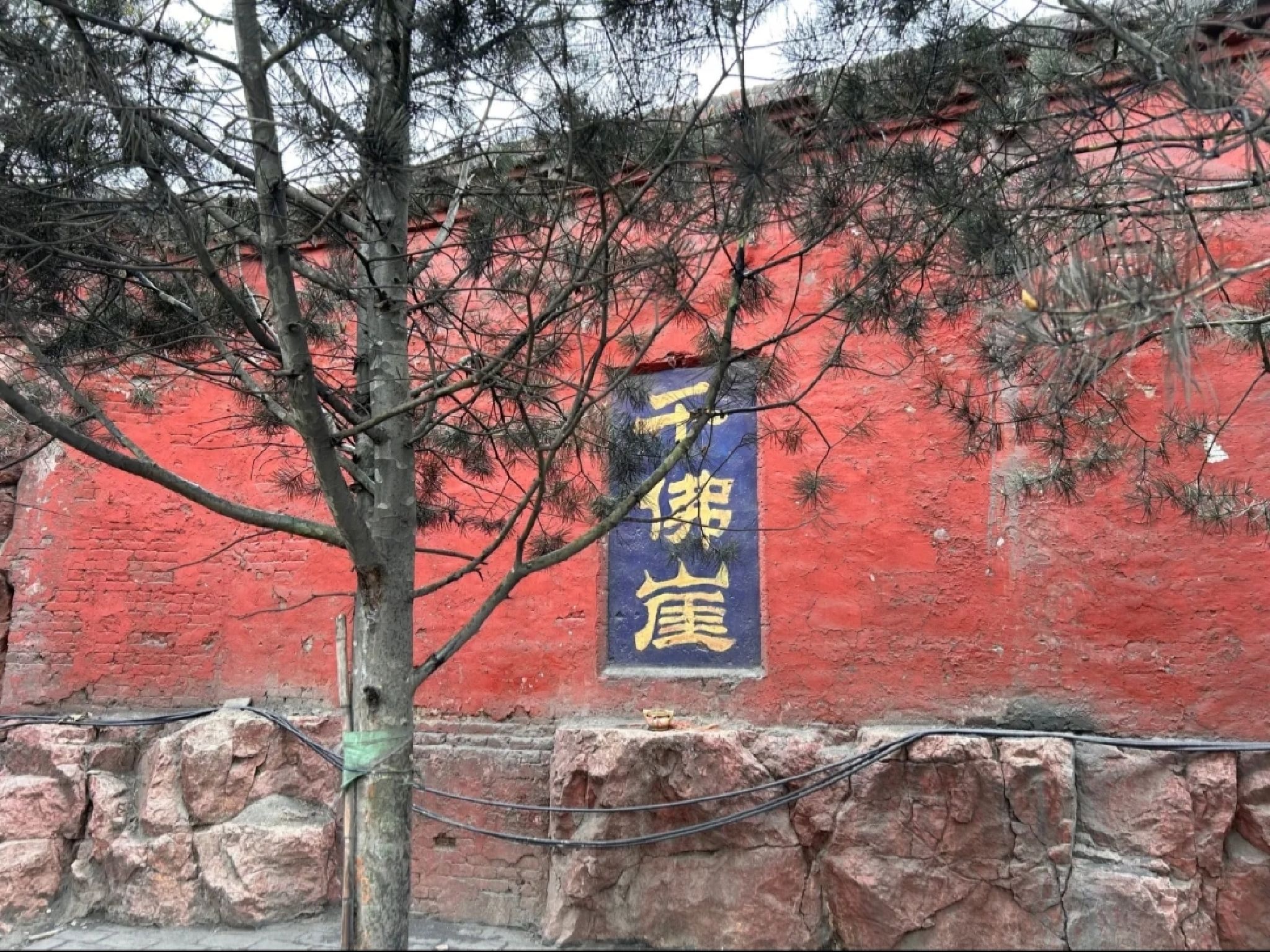 千佛崖旅行图片 1