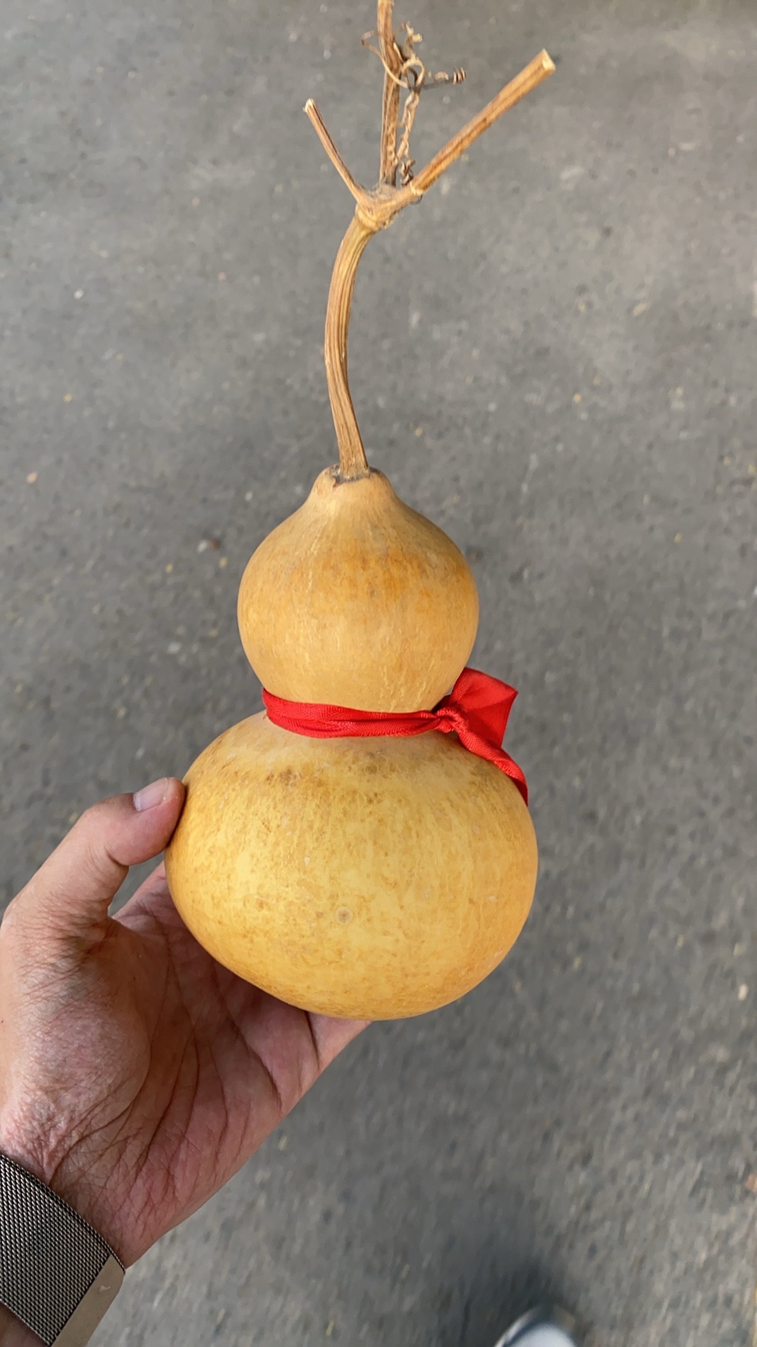 新田广场旅行图片 1