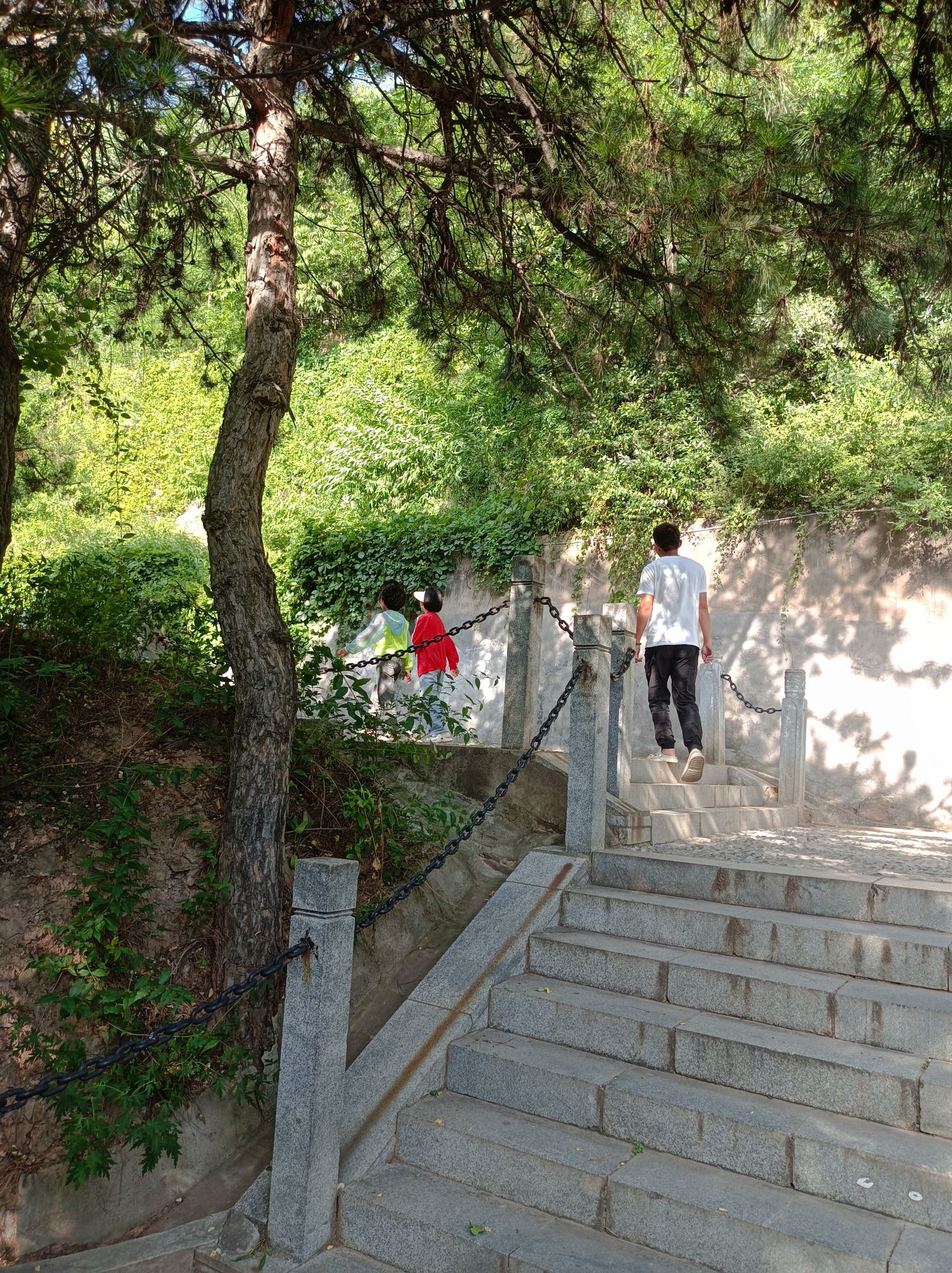 荀子文化园旅行图片 2