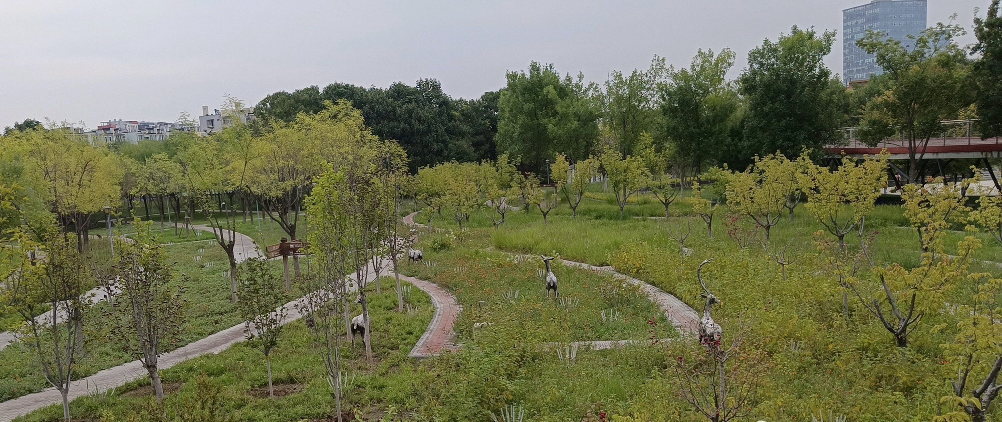 桐封公园旅行图片 1