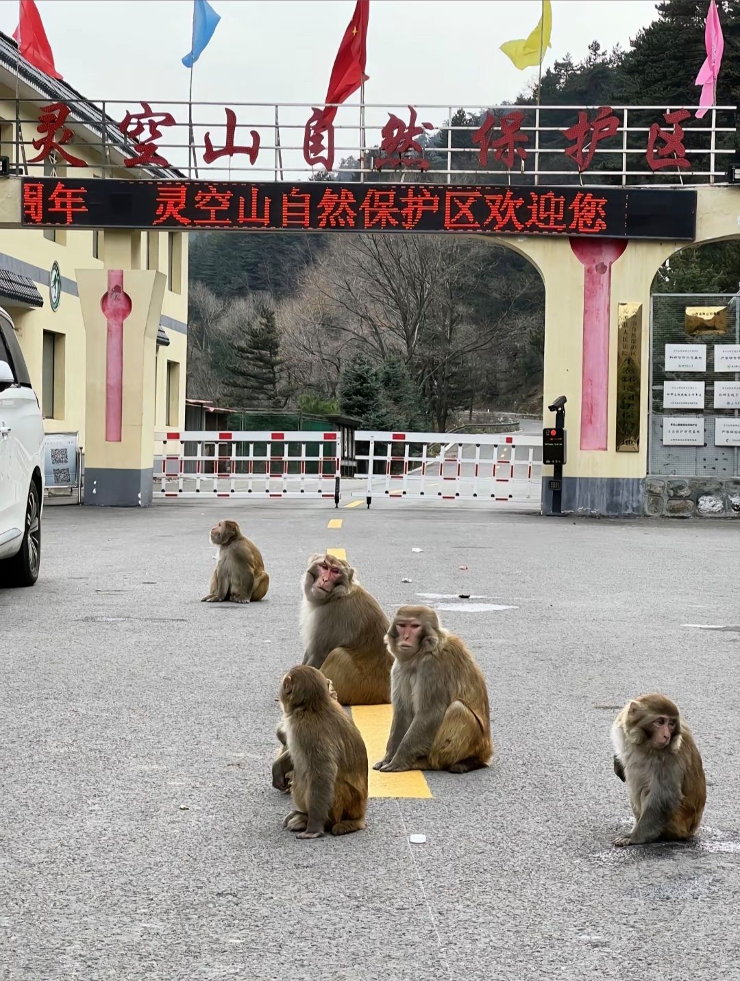 太岳山国家森林公园