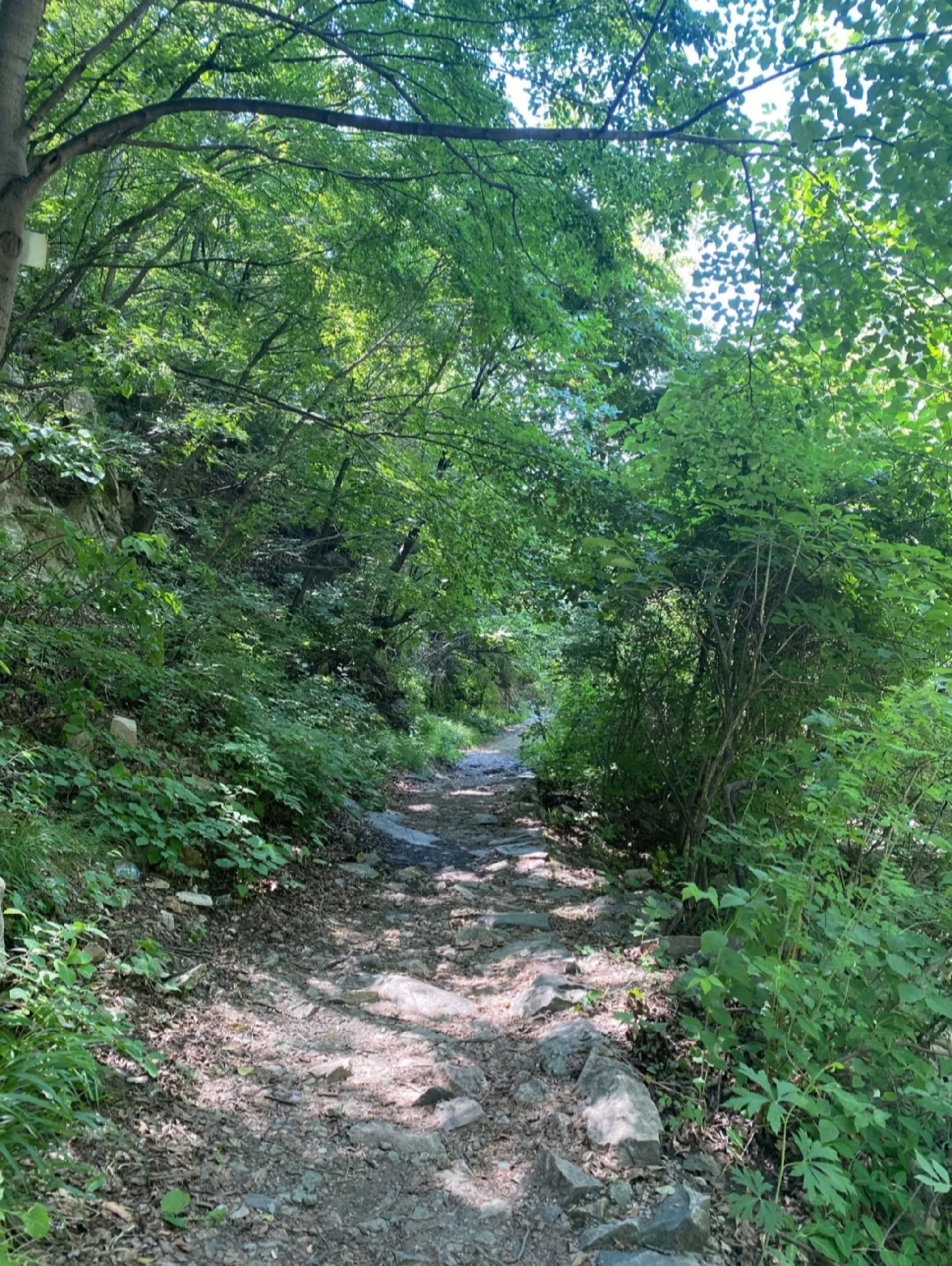 陶唐峪景区旅行图片 1