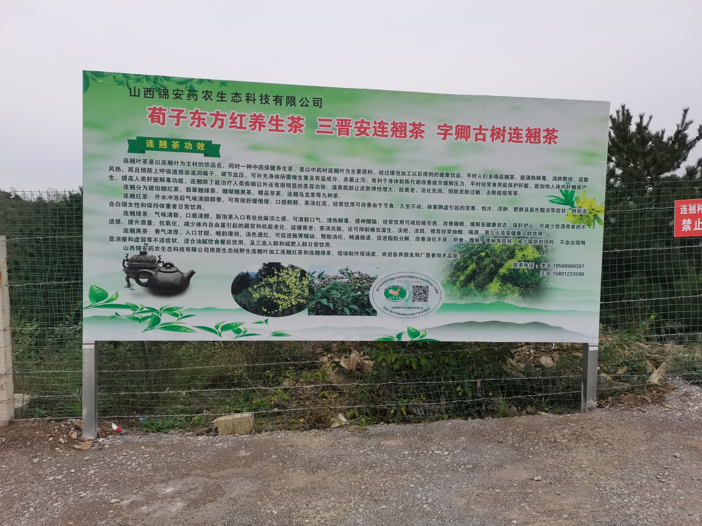 黄花岭风景区旅行图片 2