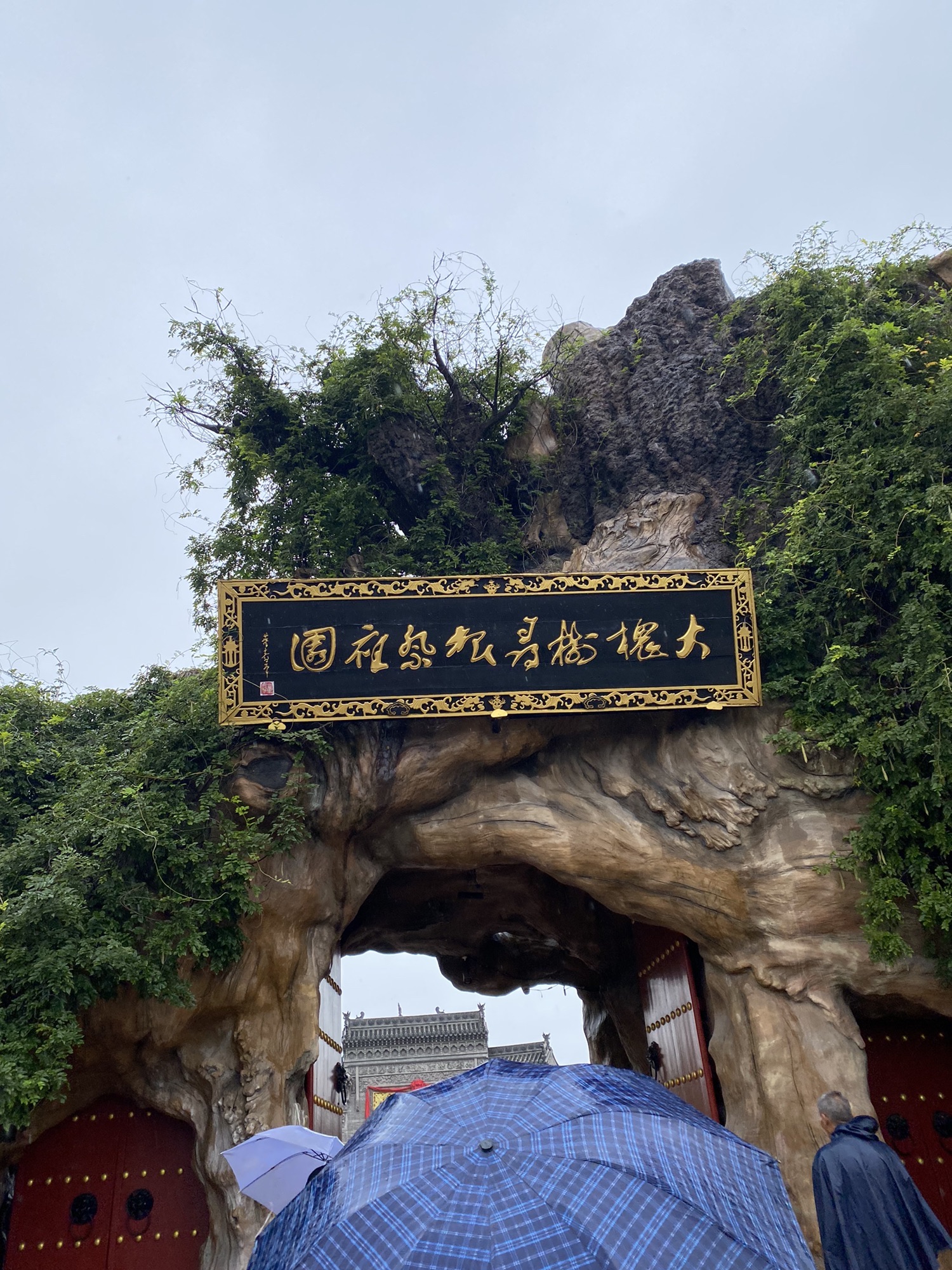 洪洞大槐树寻根祭祖园旅行图片 3