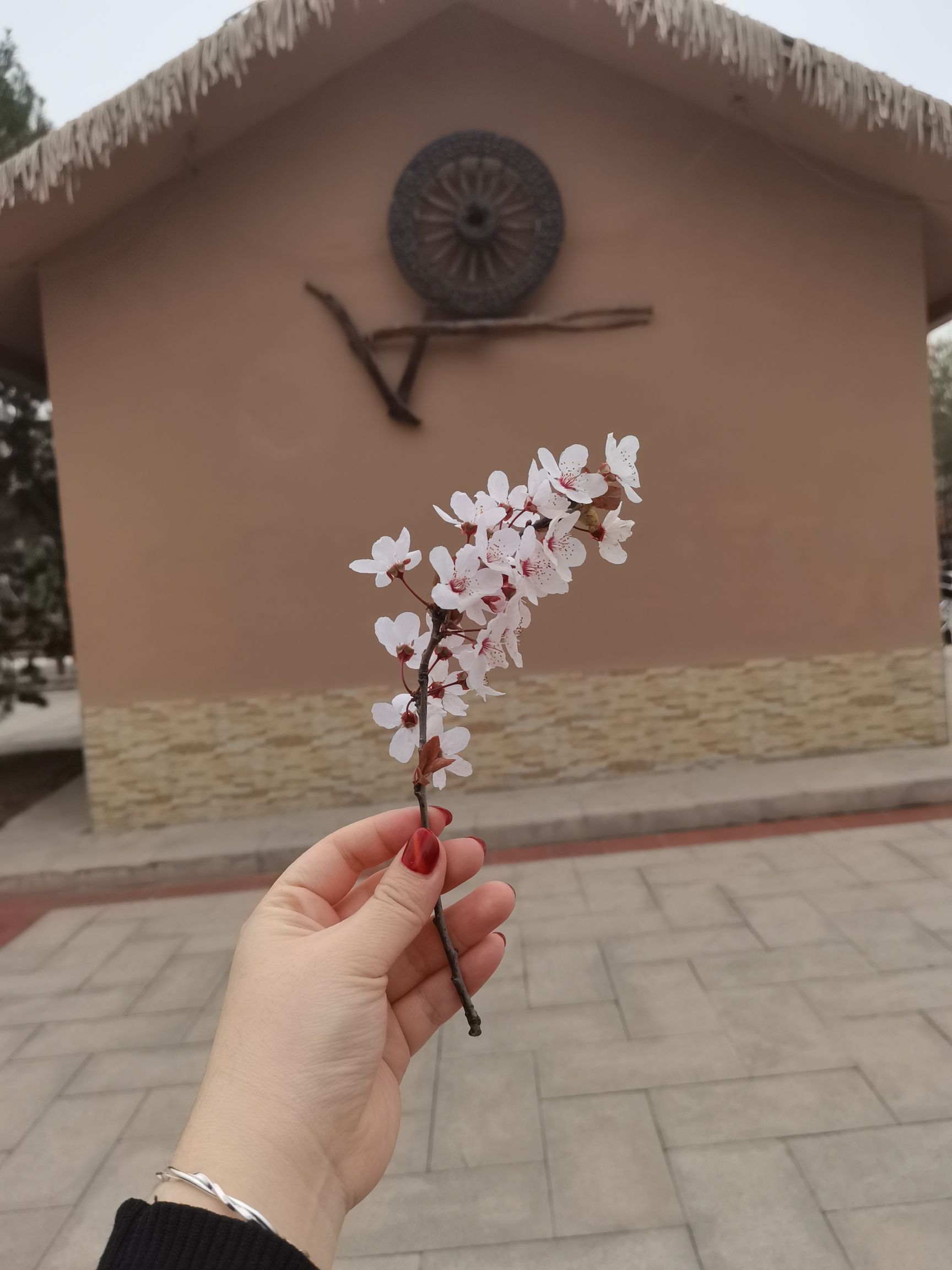 临汾市人民公园旅行图片 3