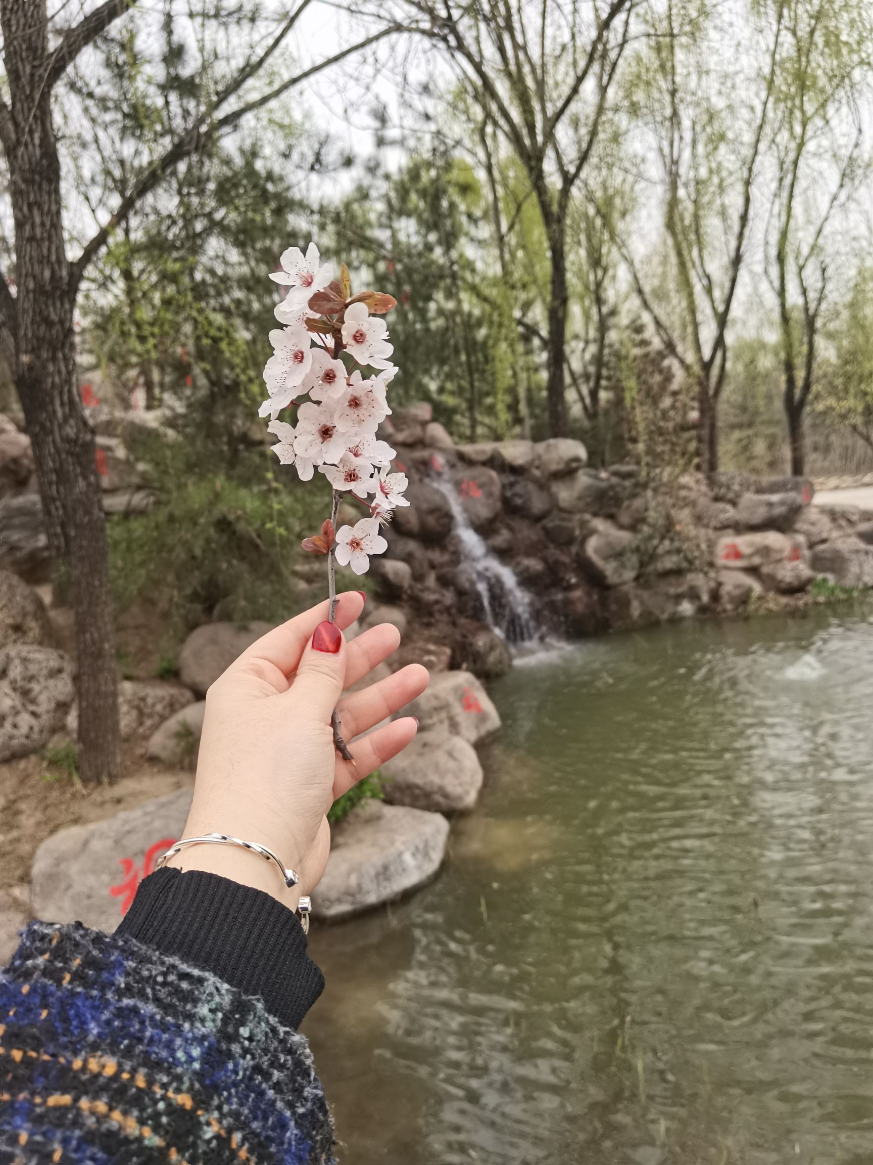 临汾市人民公园旅行图片 1