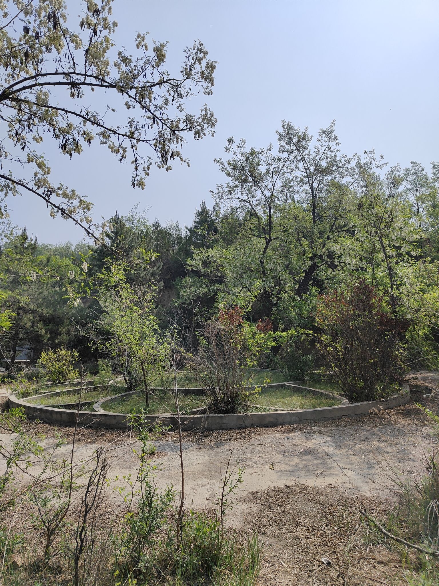 生态公园旅行图片 3