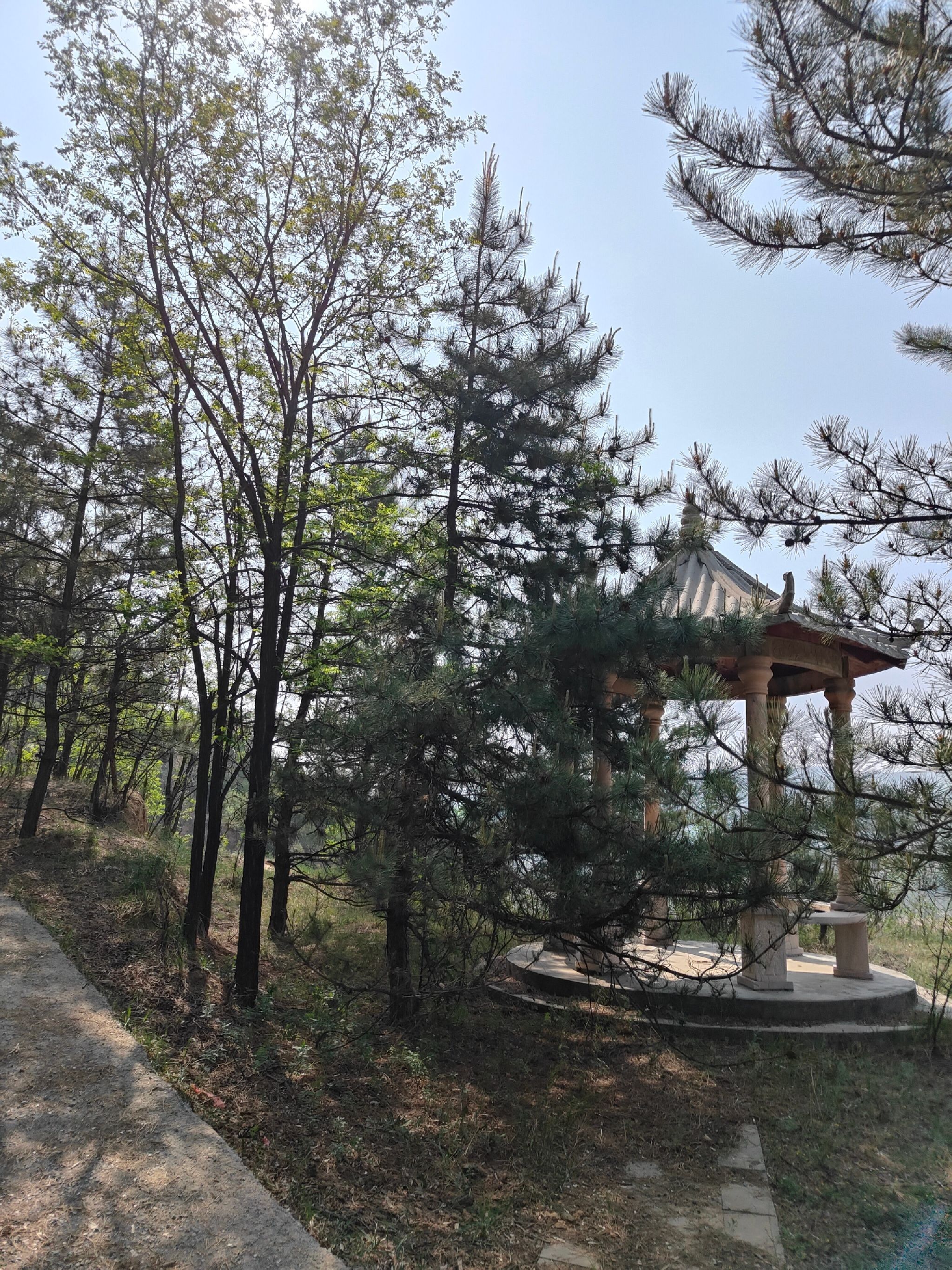 生态公园旅行图片 1