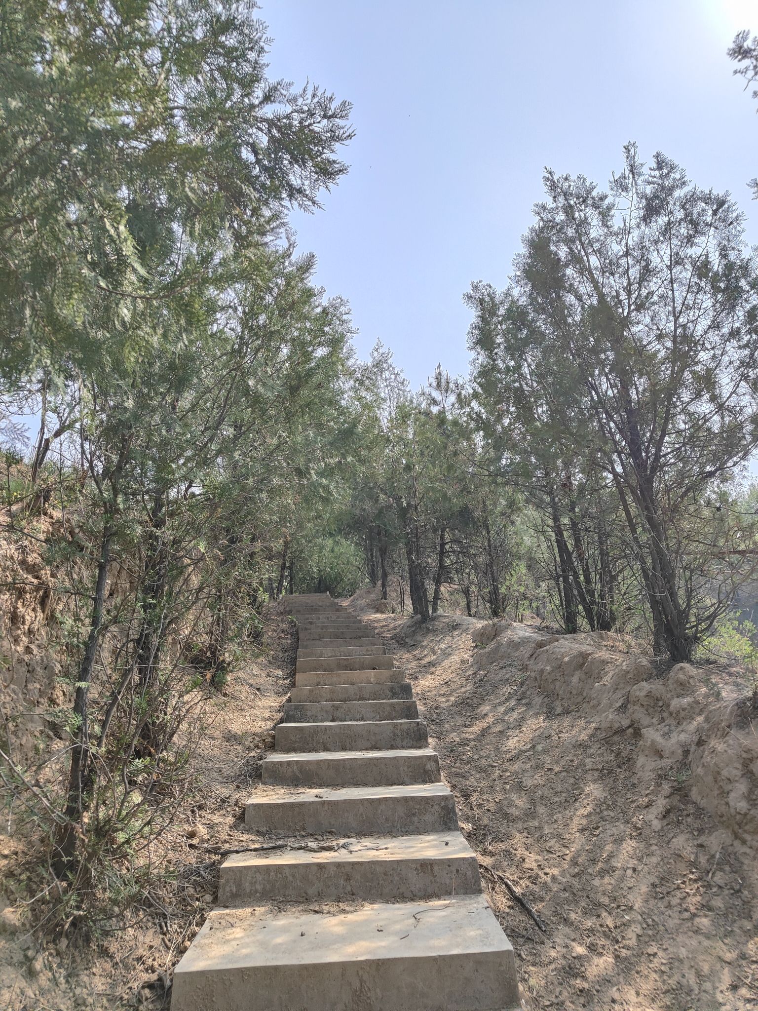 生态公园旅行图片 2