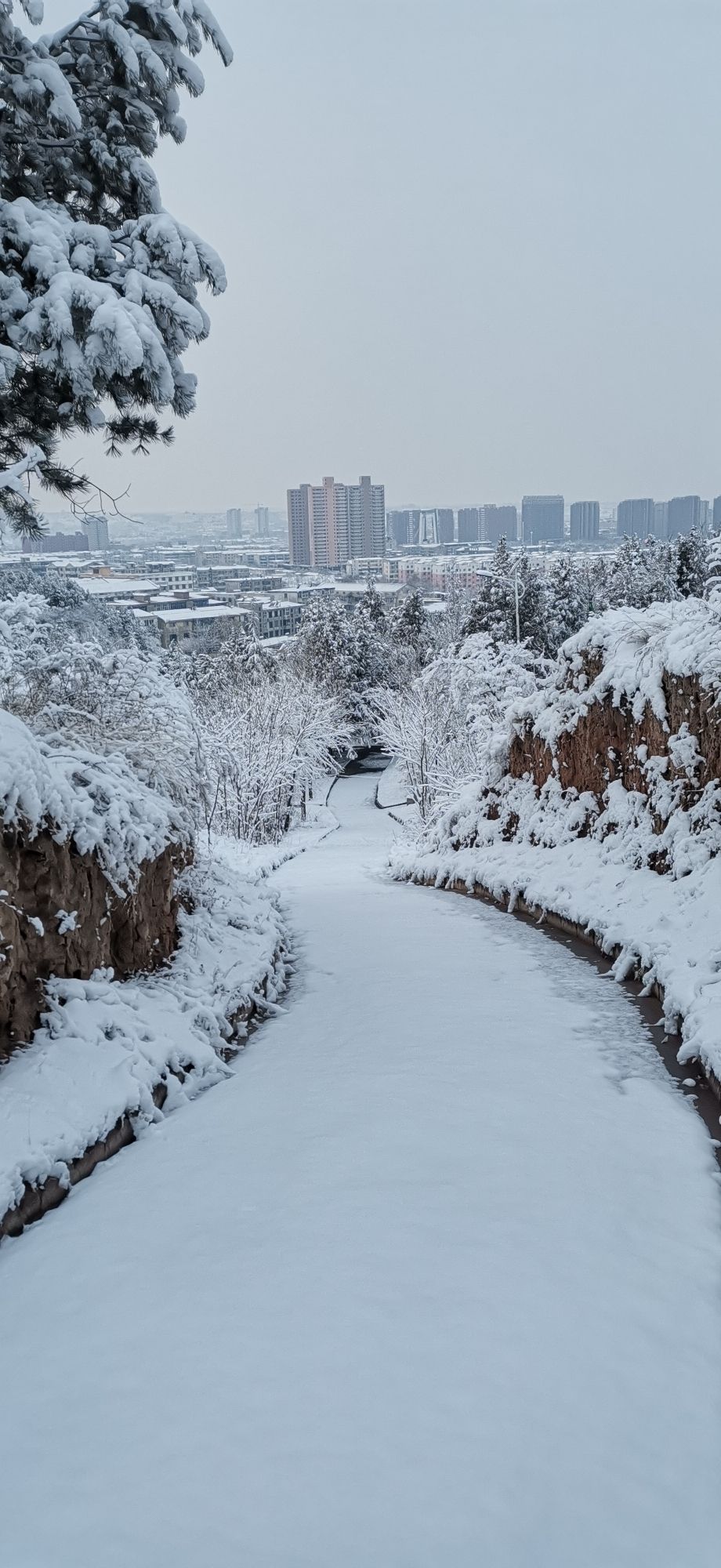 东岭森林公园