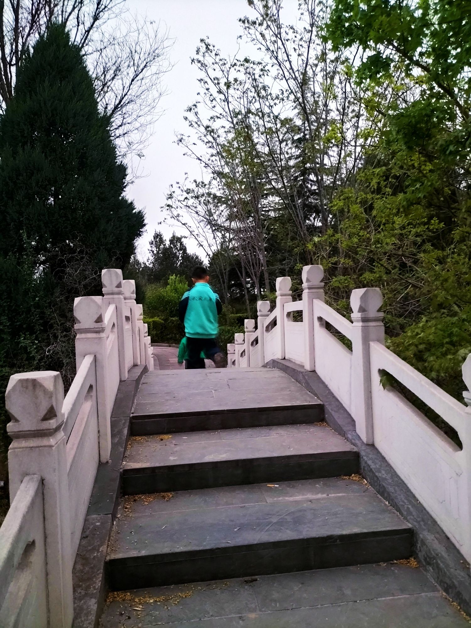 东岭森林公园旅行图片 1