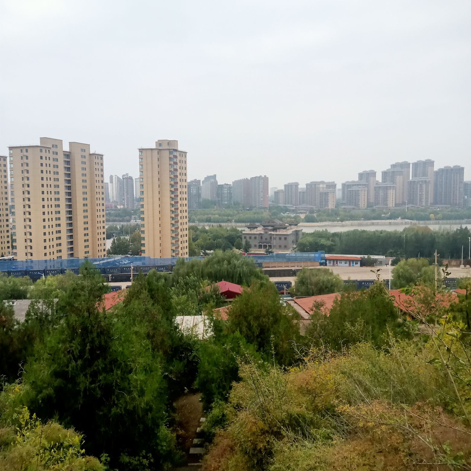 东岭森林公园旅行图片 2