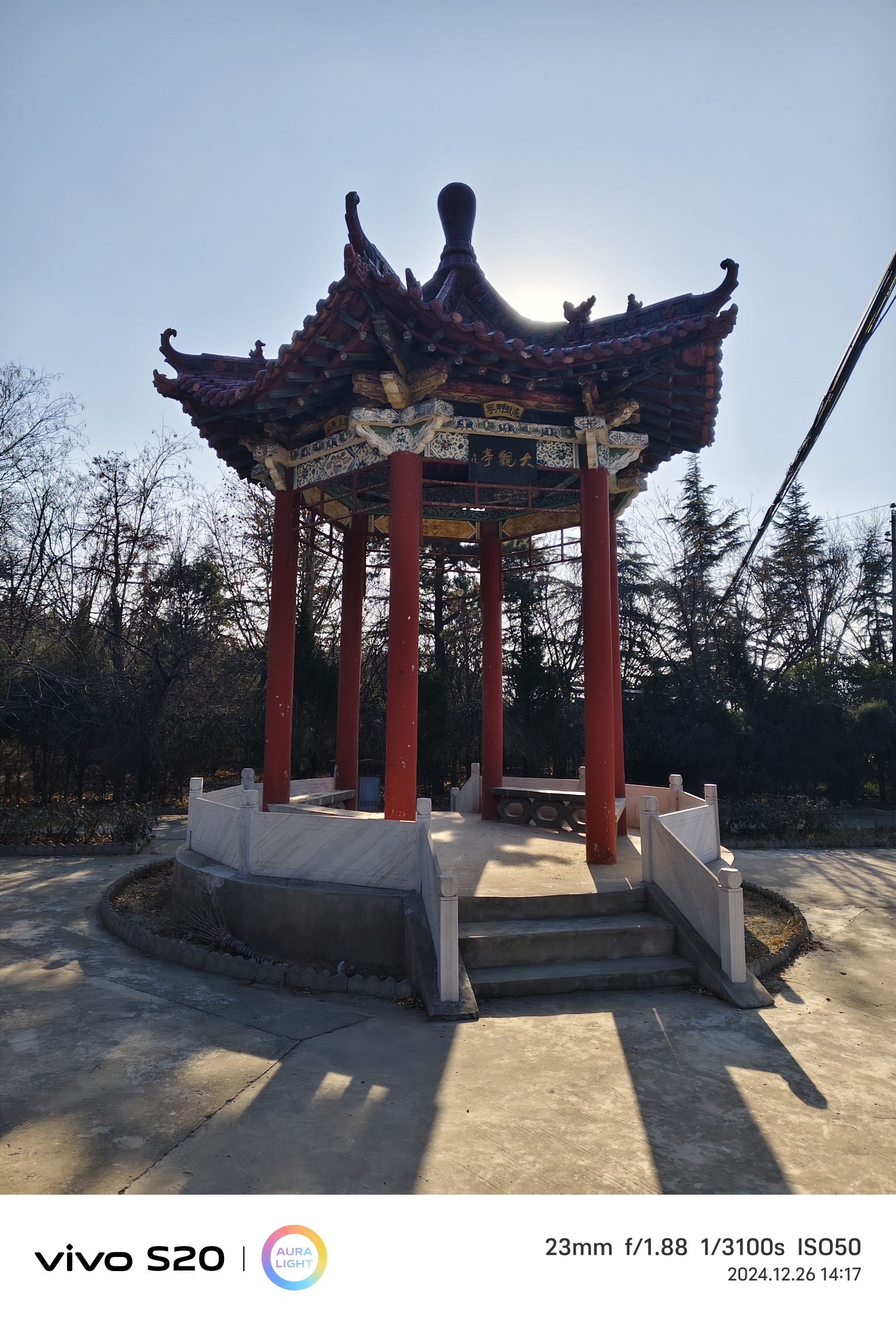 东岭森林公园旅行图片 3