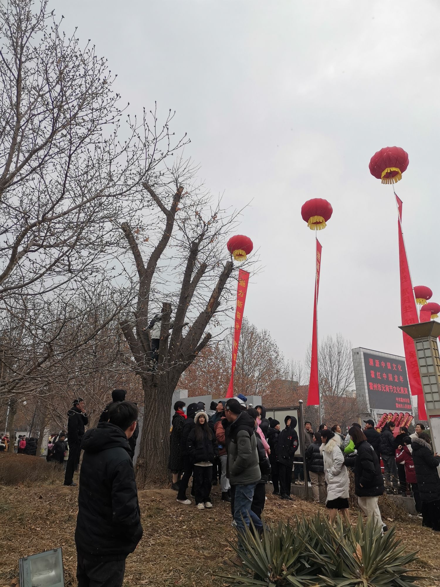 中镇文化广场旅行图片 3