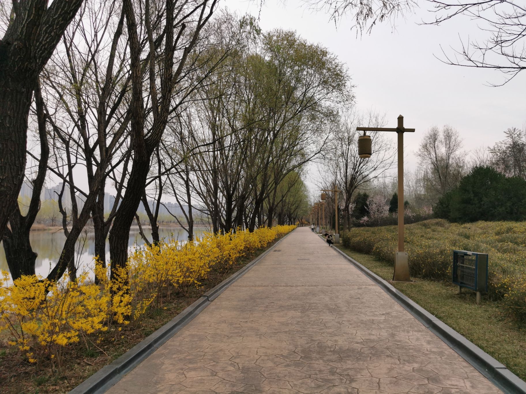 汾河公园旅行图片 3
