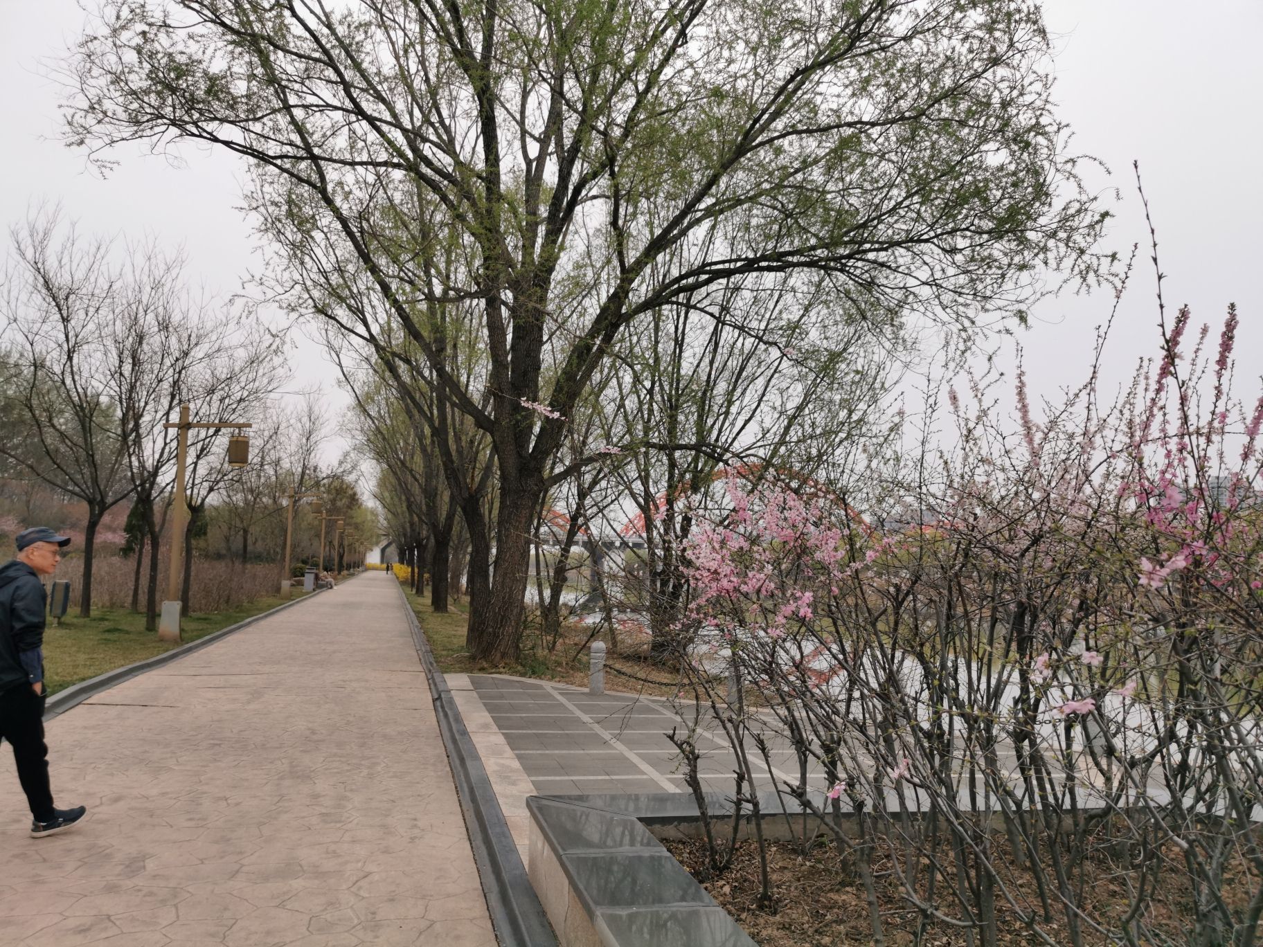 汾河公园旅行图片 2