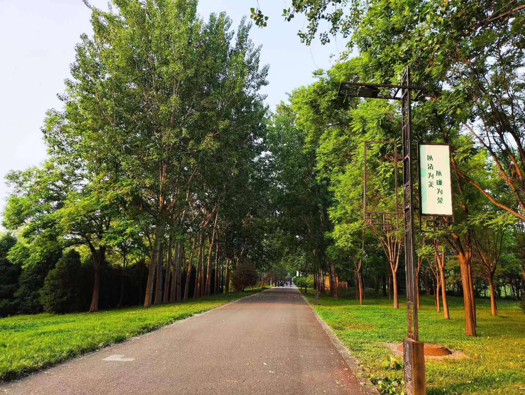 汾河公园旅行图片 2