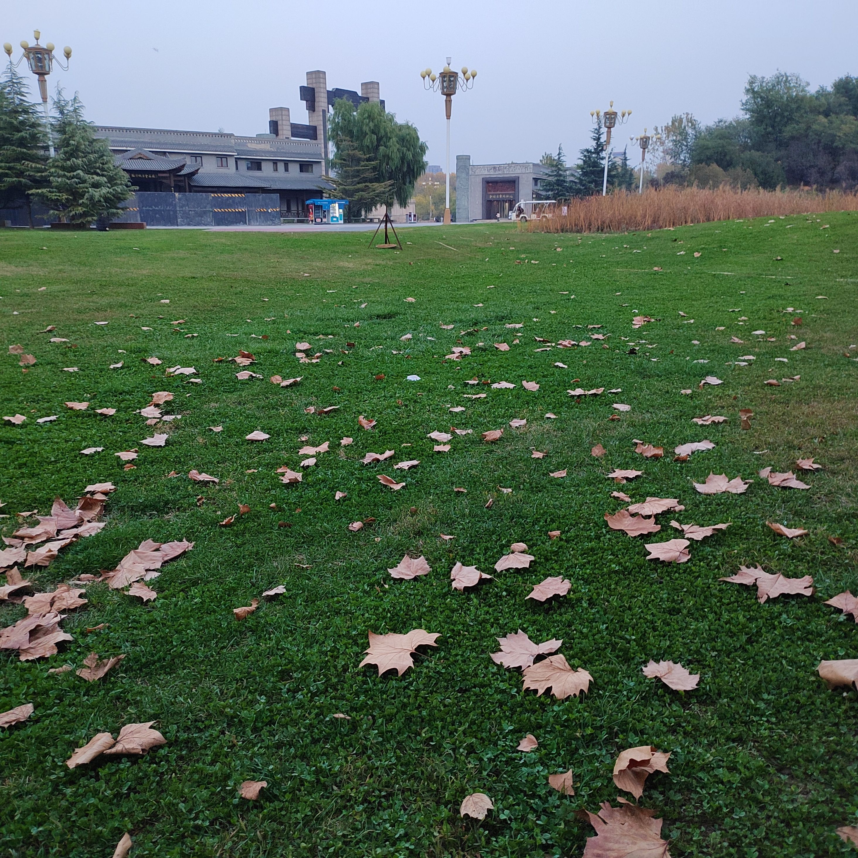 汾河公园旅行图片 1
