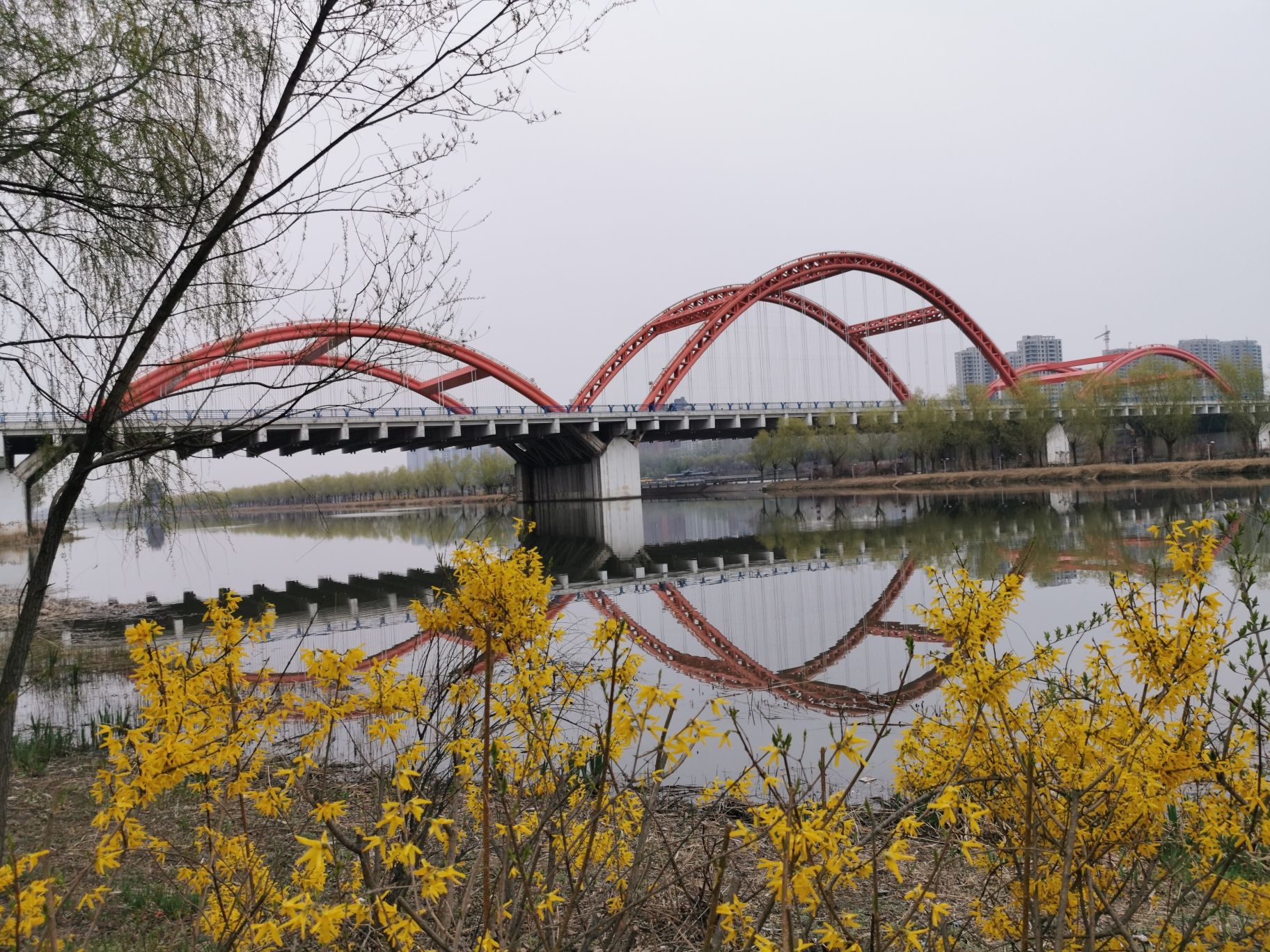 汾河公园旅行图片 1