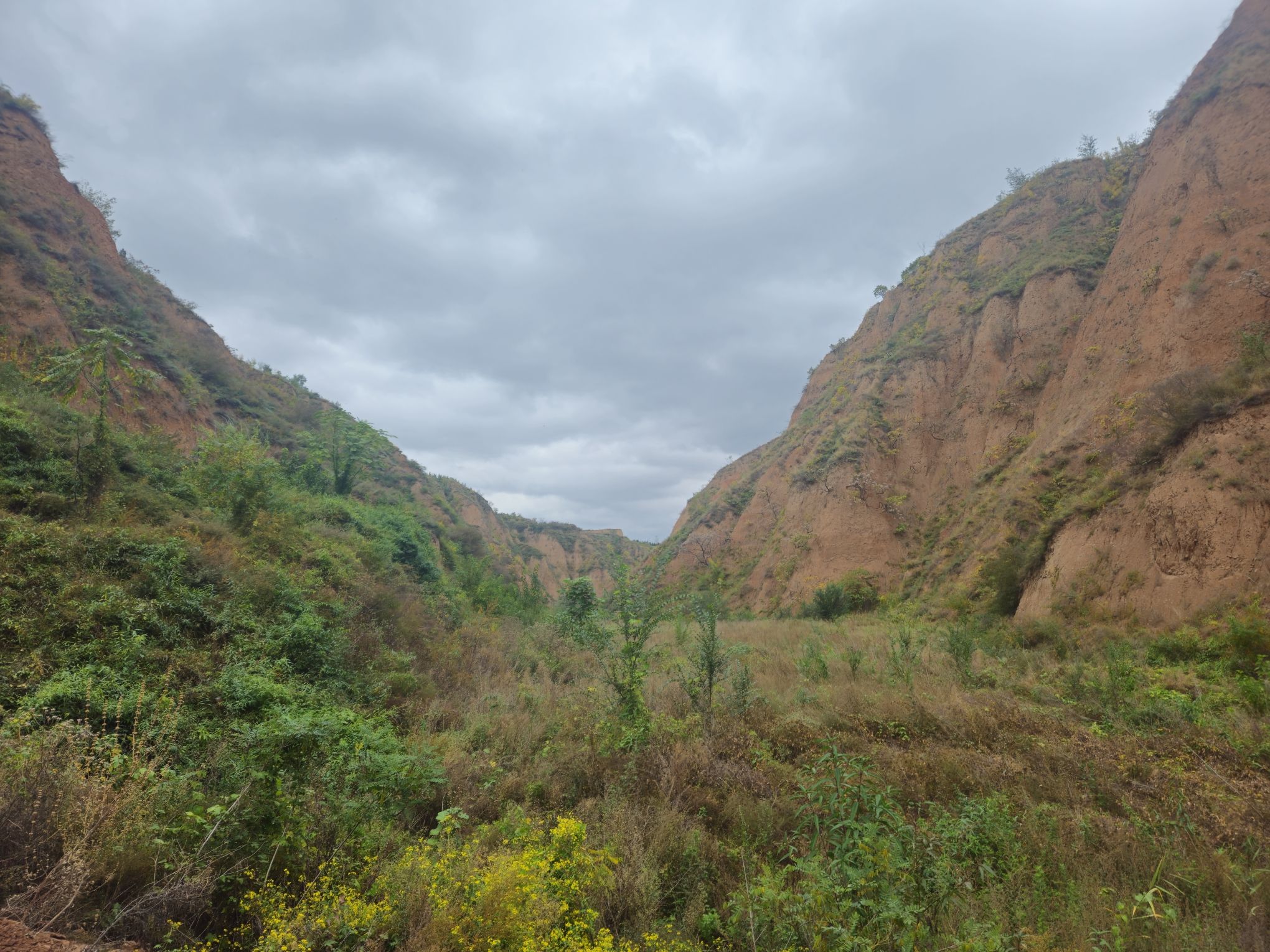 浮山县尧山森林公园旅行图片 3