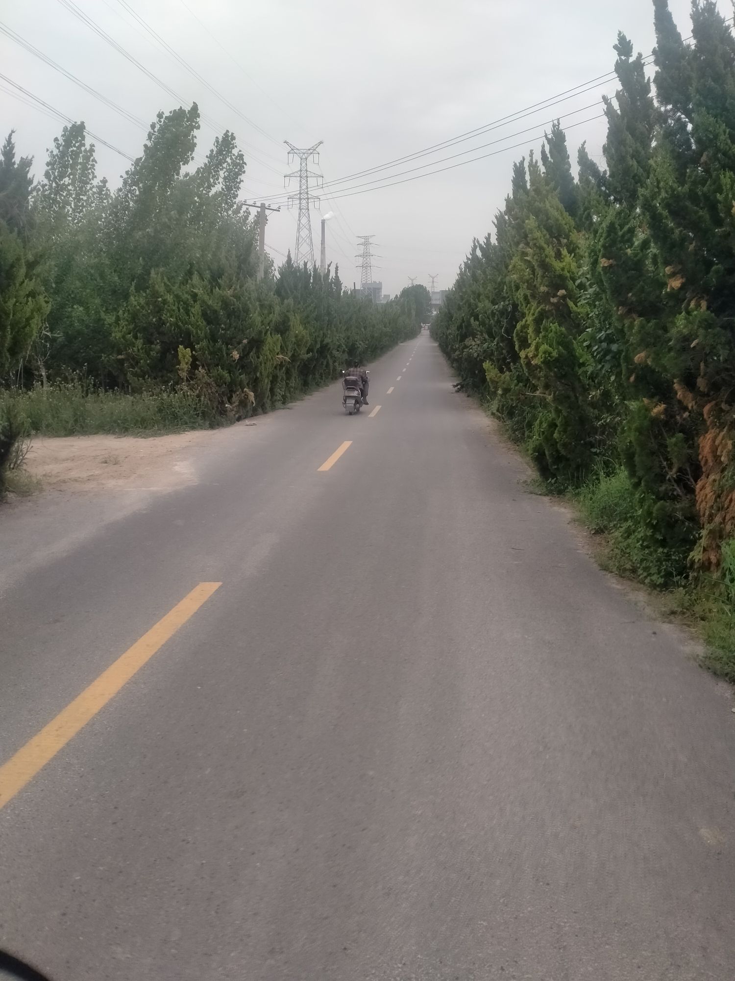 临汾九龙山森林公园旅行图片 1