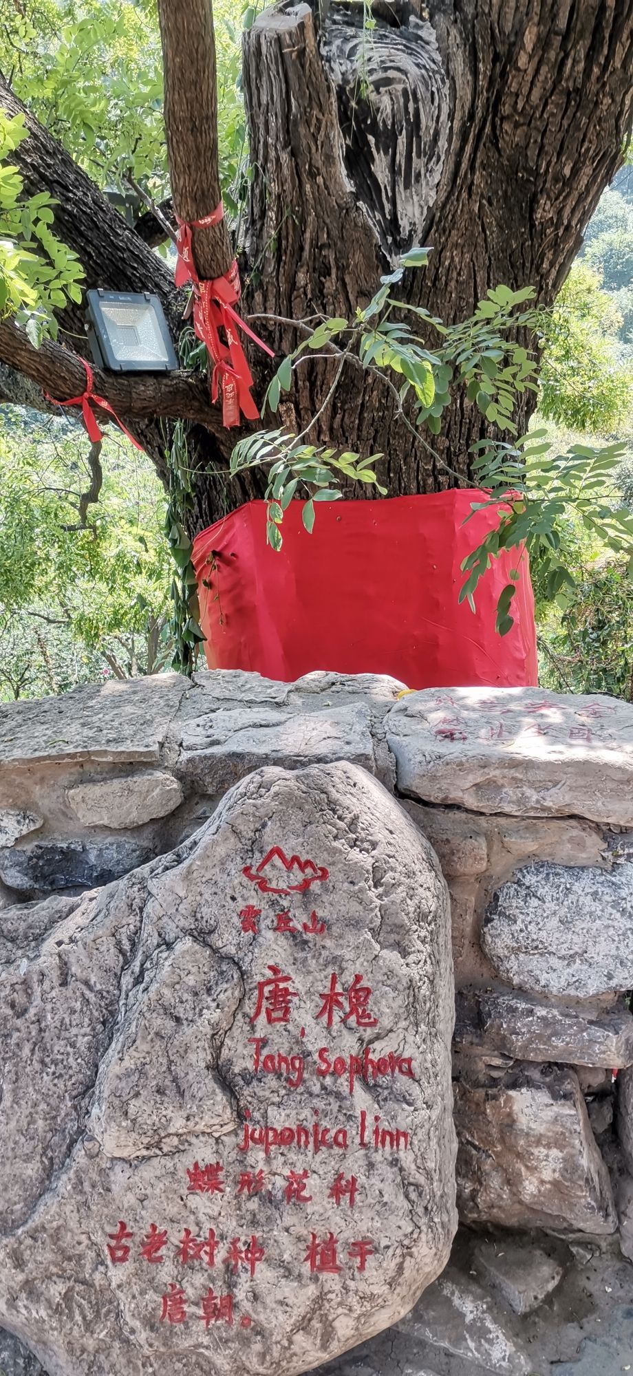 云丘山景区旅行图片 3