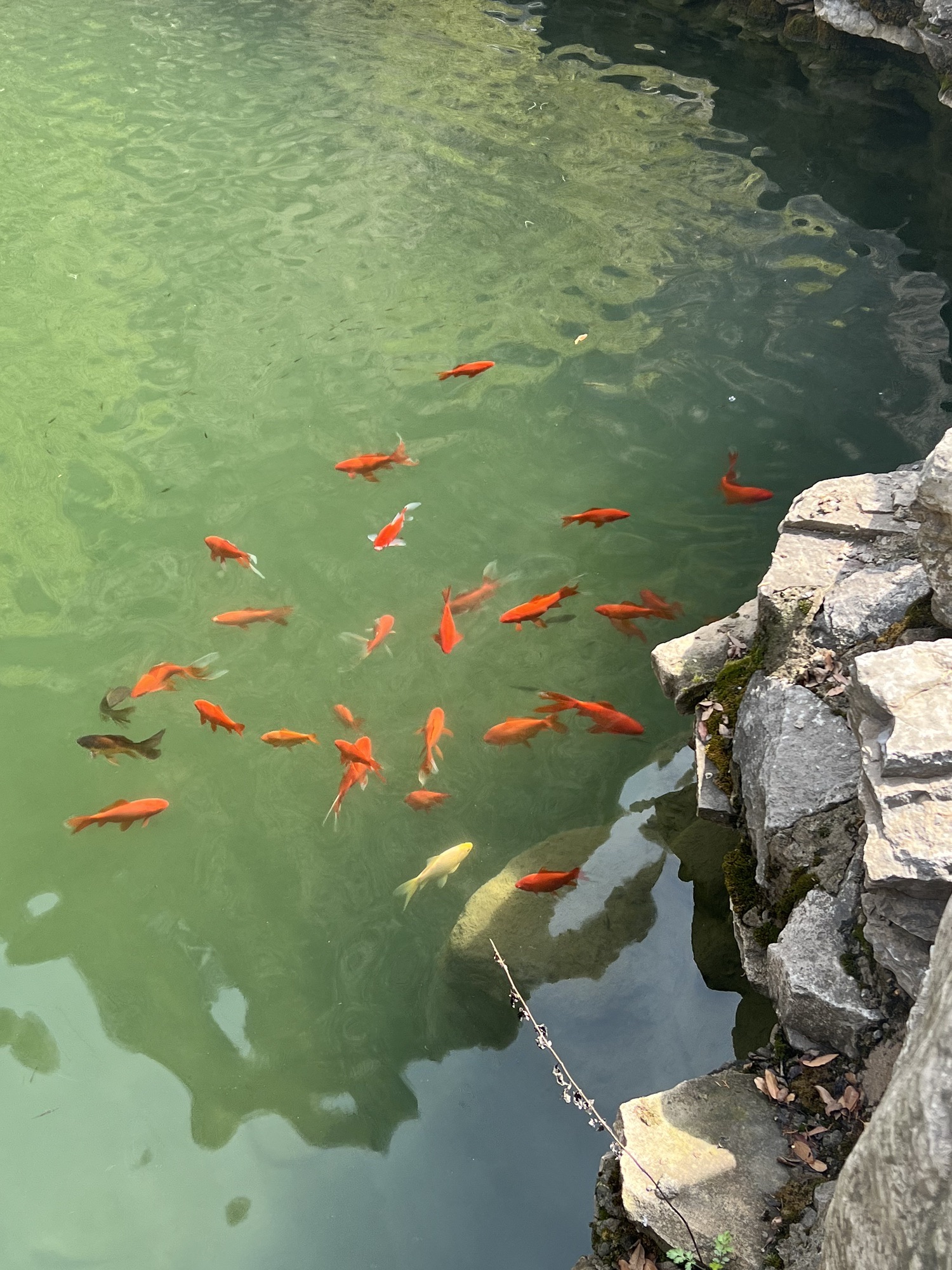 云丘山景区旅行图片 2
