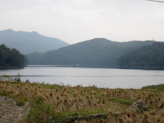 五鹿山自然保护区旅行图片 2