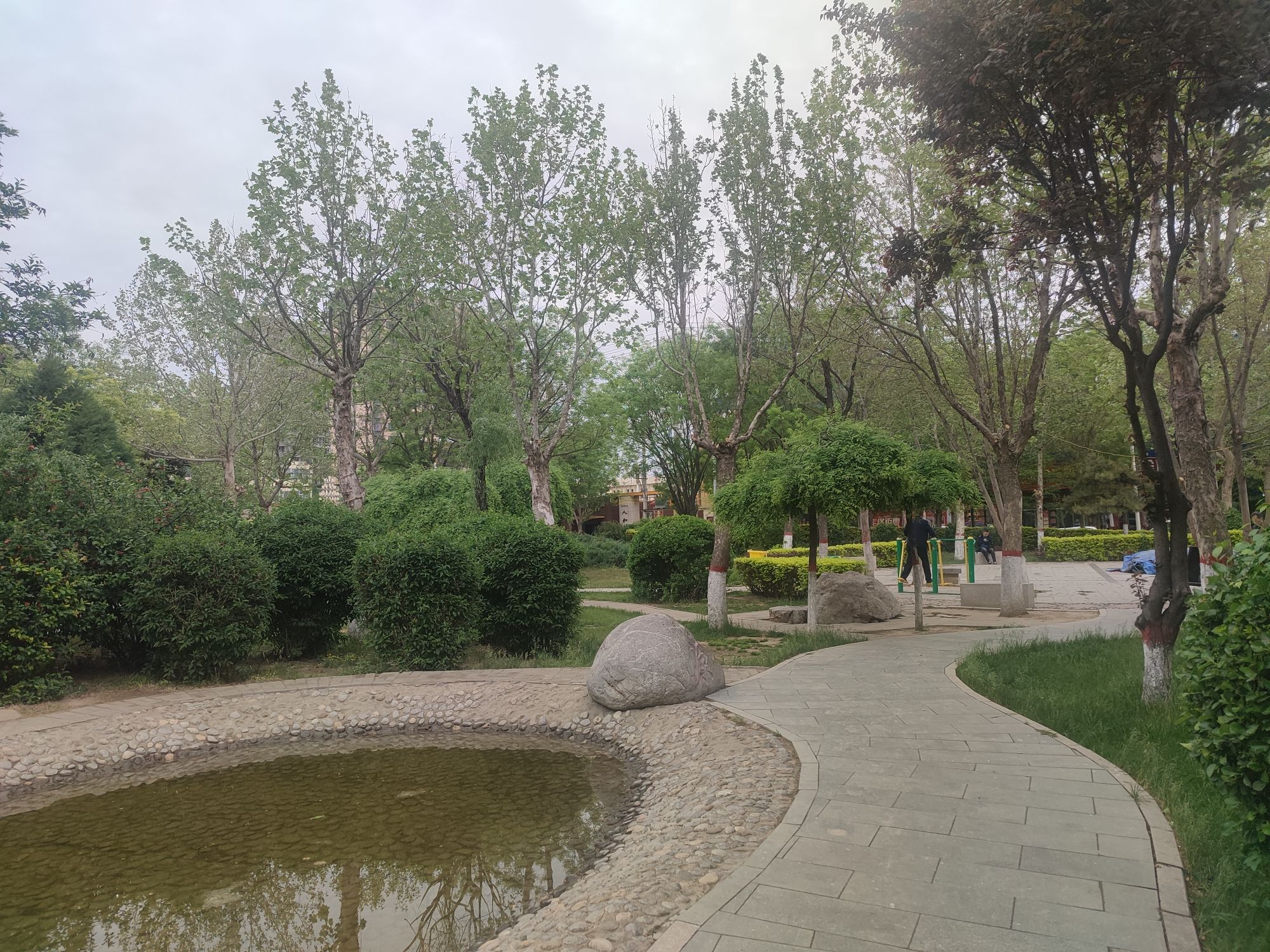 凤凰生态公园旅行图片 2
