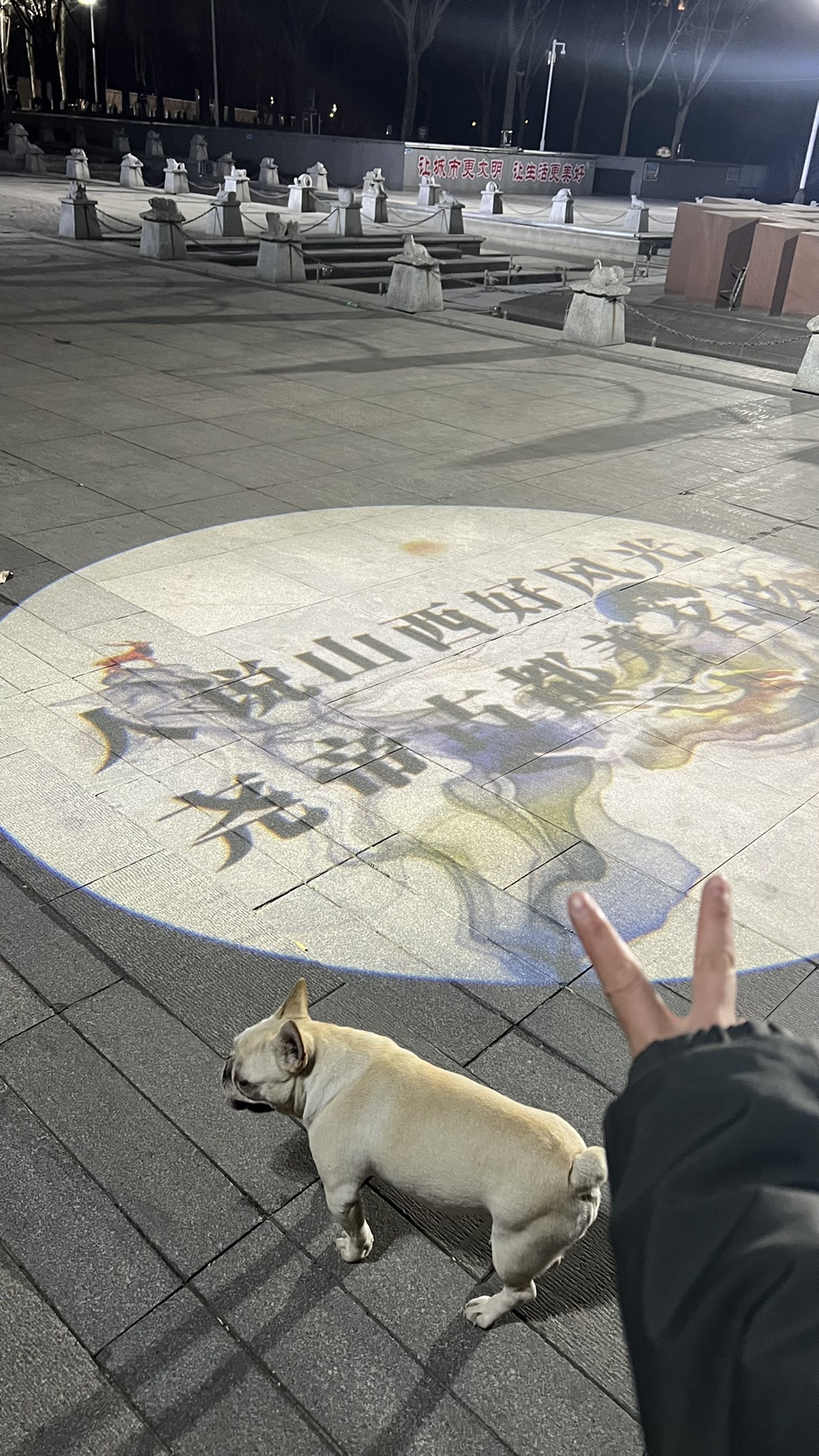 尧都公园旅行图片 2