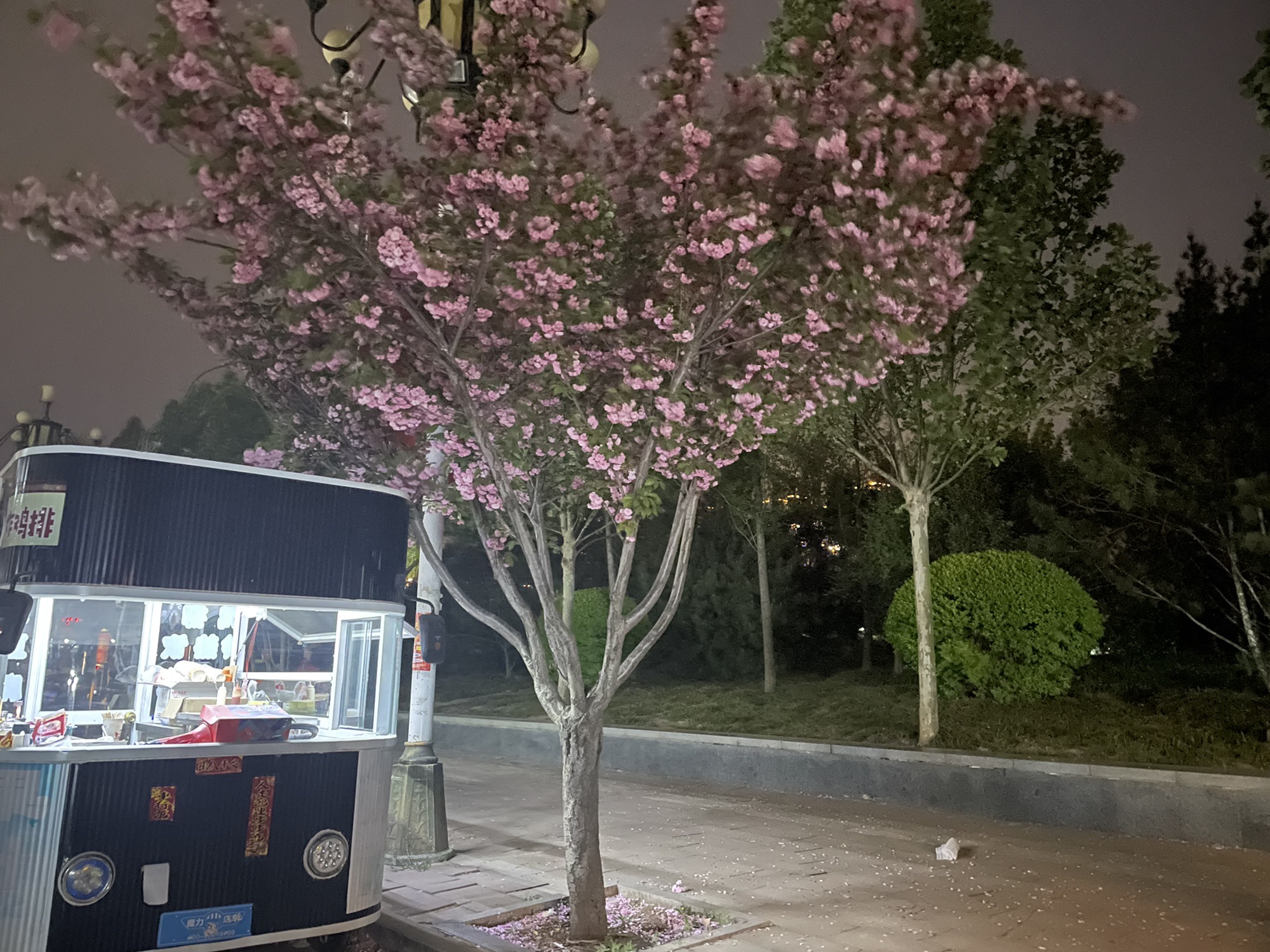 尧都公园旅行图片 3