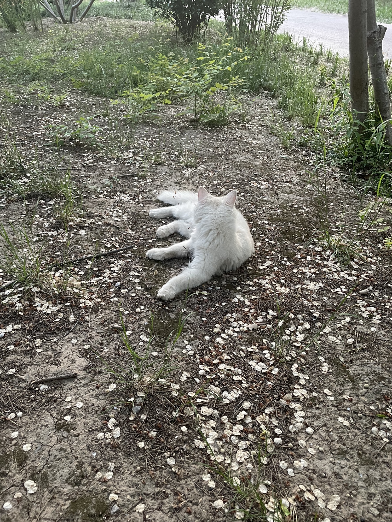 尧都公园旅行图片 1