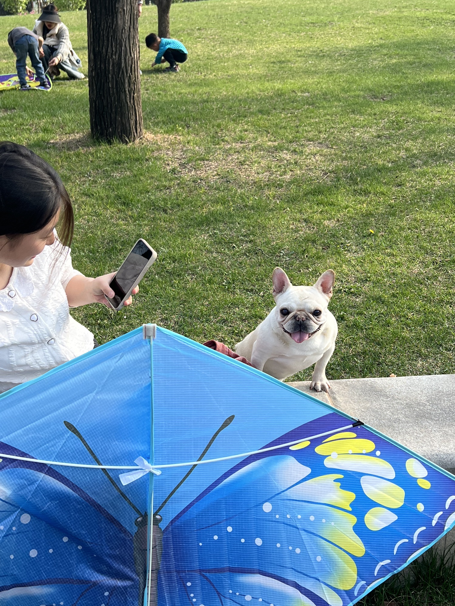 尧都公园旅行图片 3