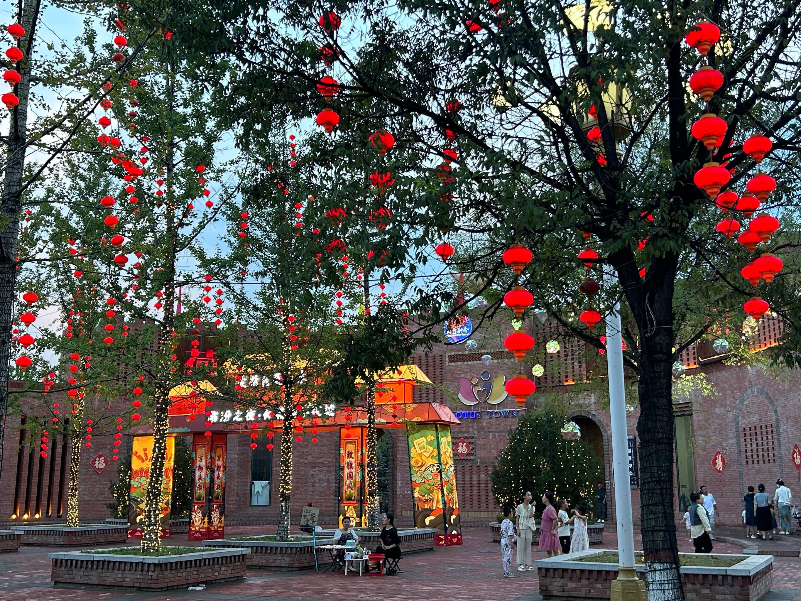 荷花小镇旅行图片 3