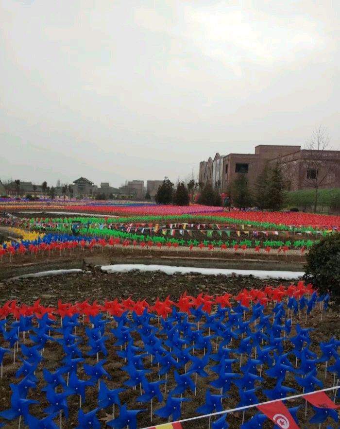荷花小镇旅行图片 1