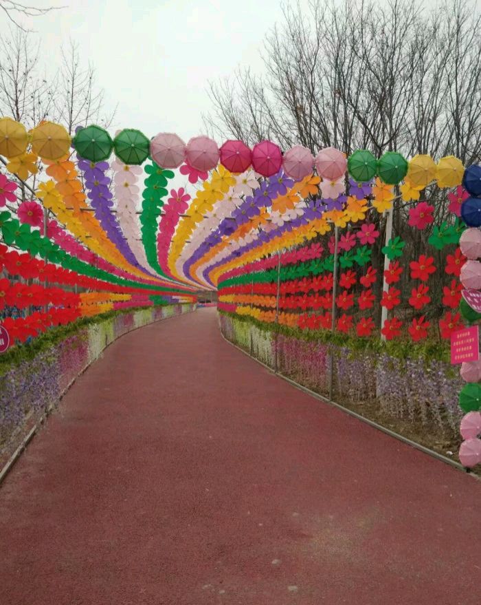 荷花小镇旅行图片 3