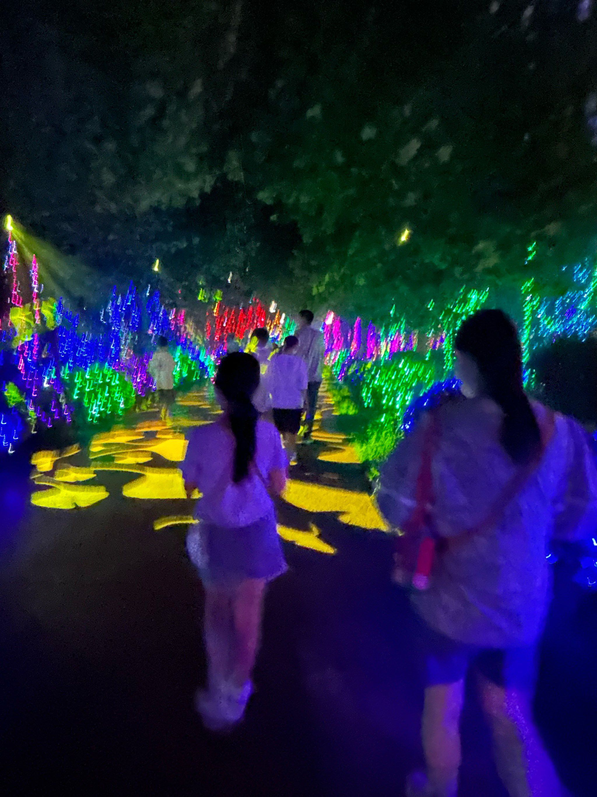 荷花小镇旅行图片 1