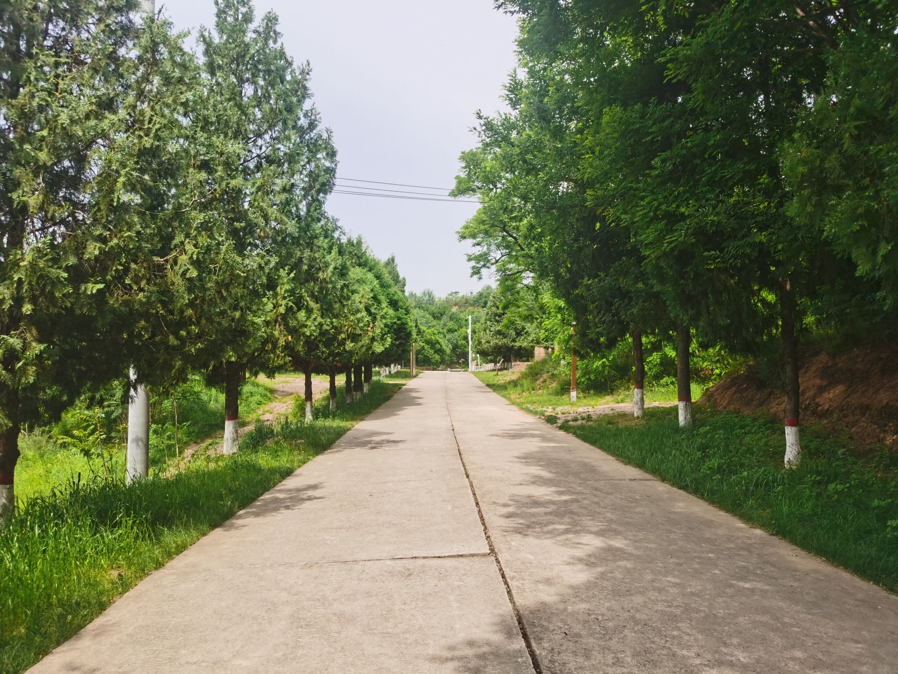 克难城旅行图片 2